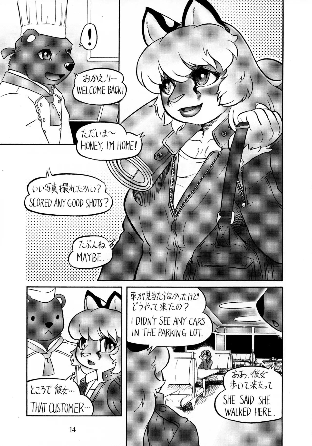 Page 13