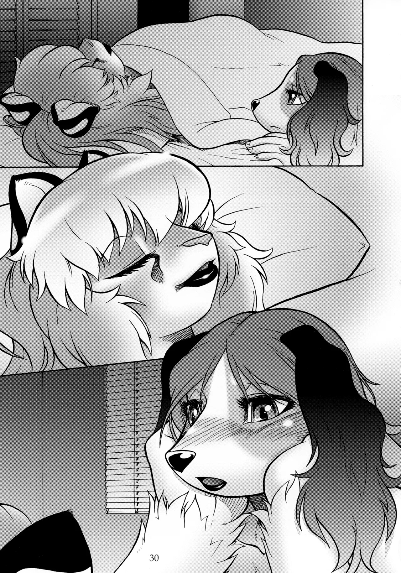 Page 29