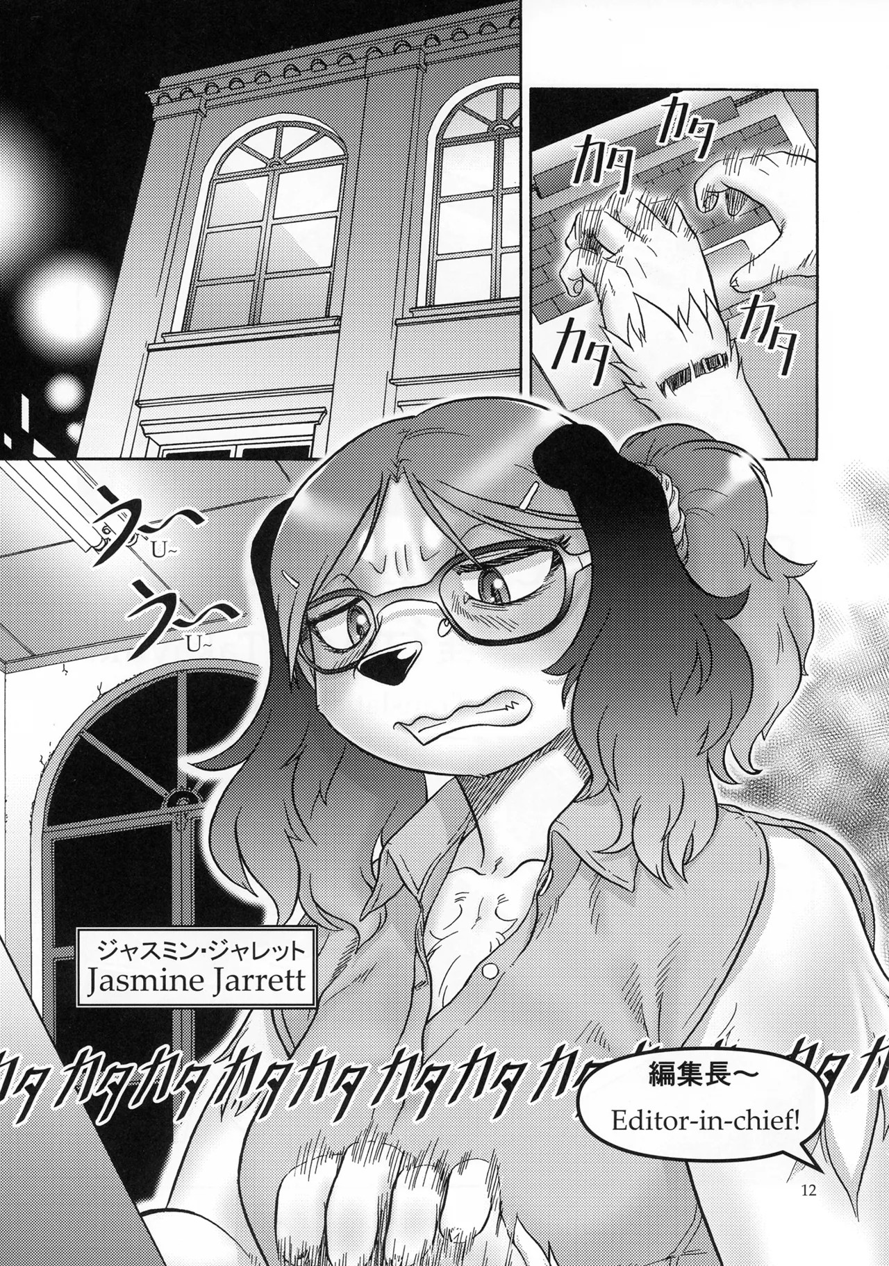 Page 12