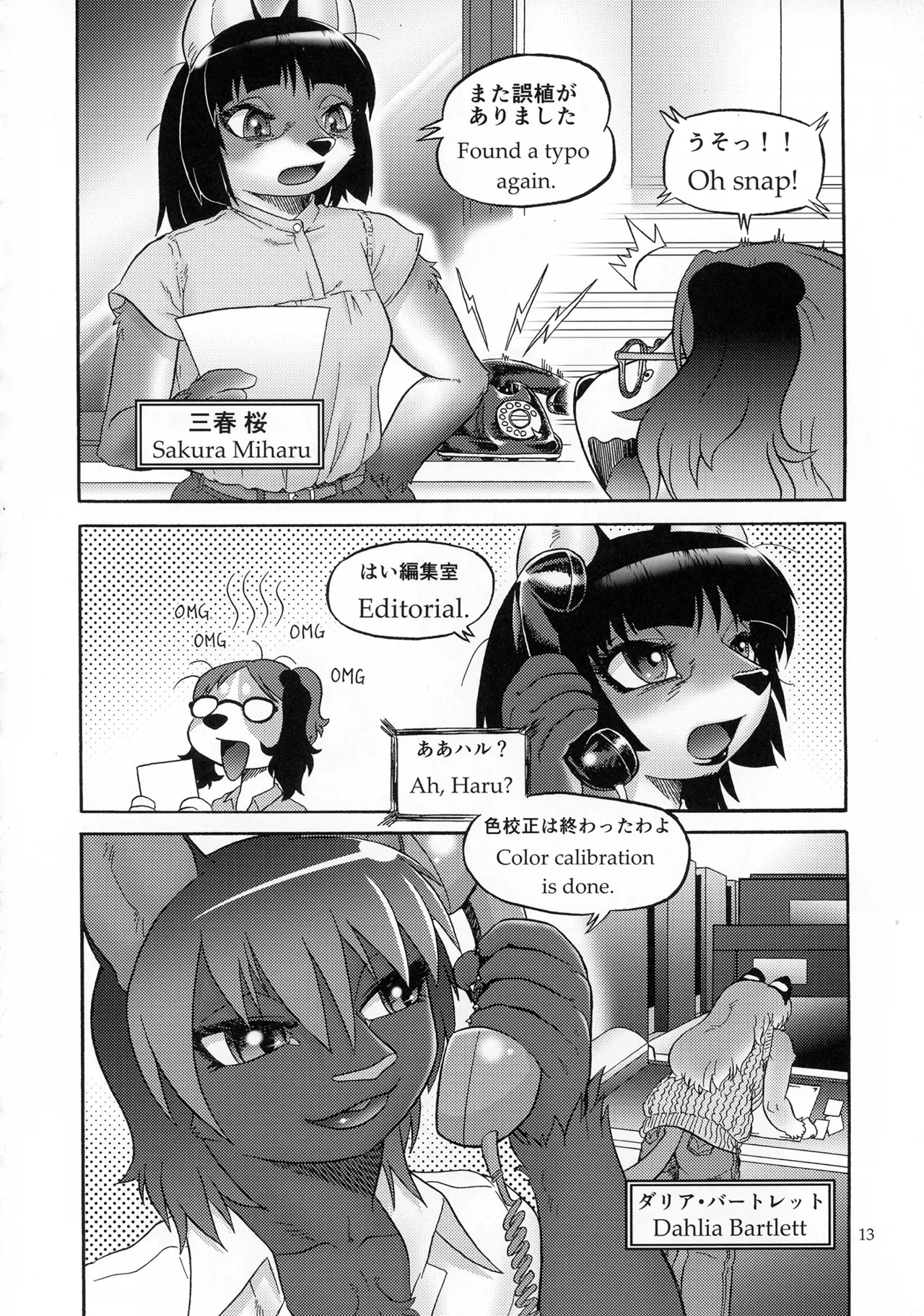 Page 13