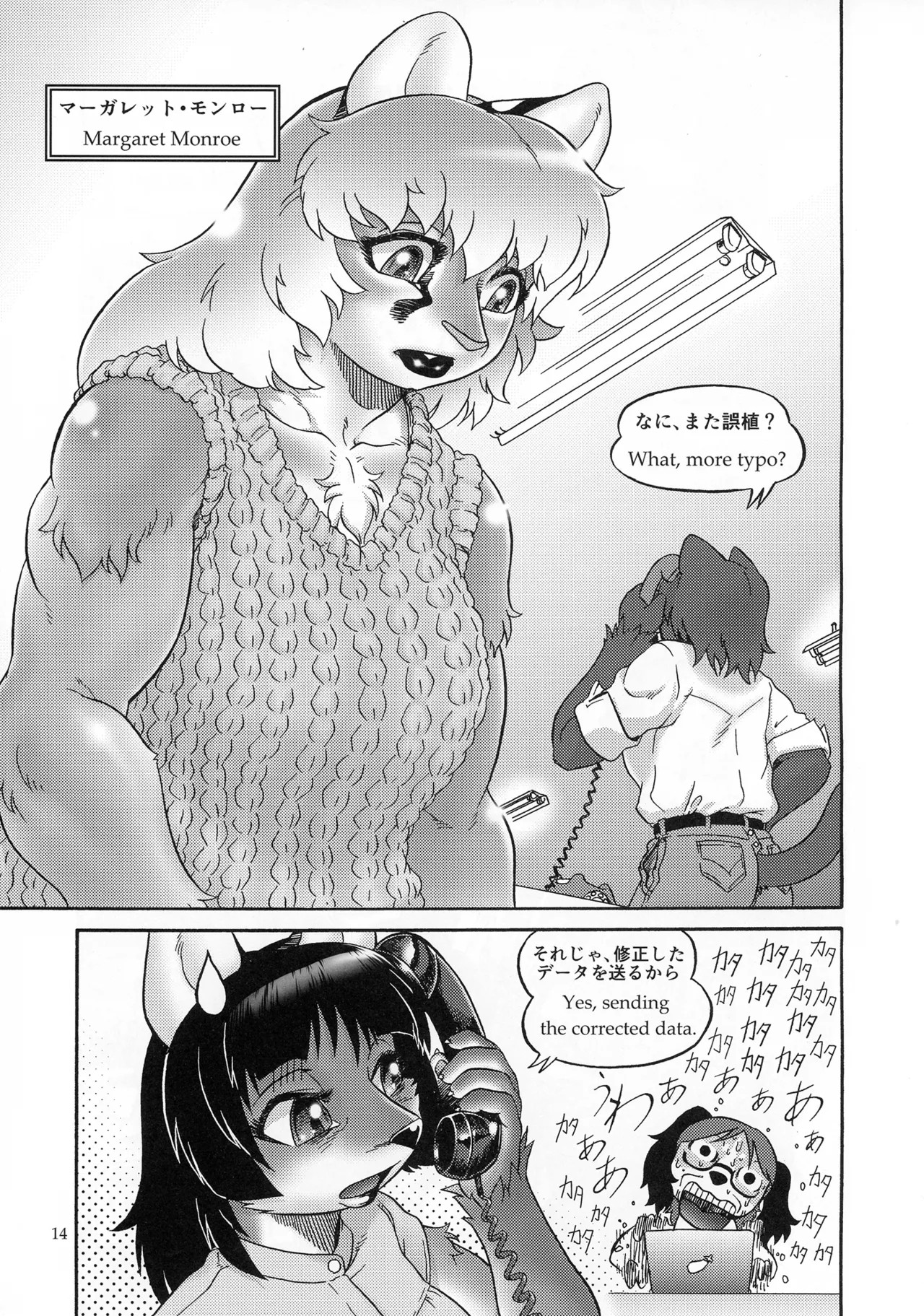 Page 14
