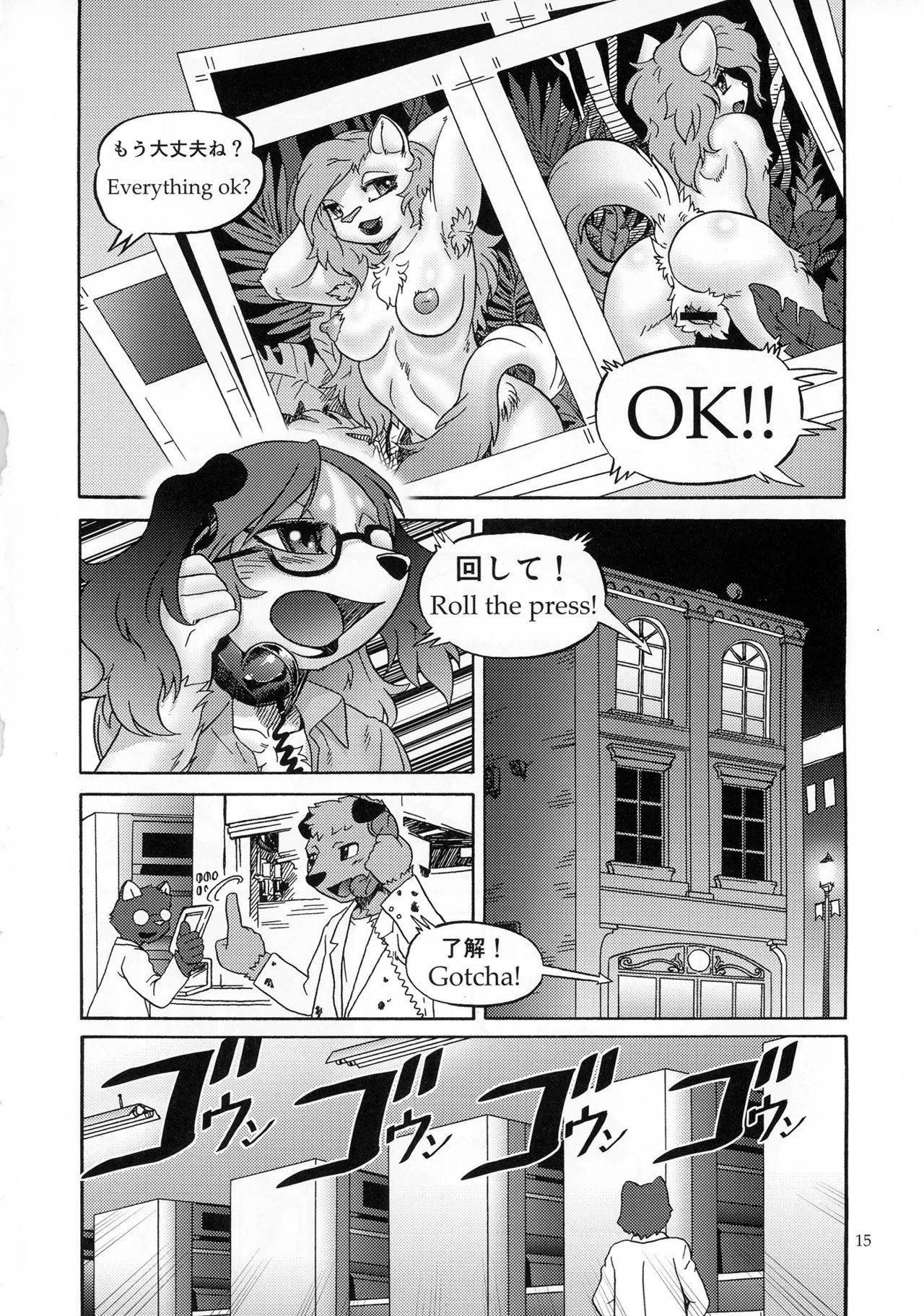 Page 15