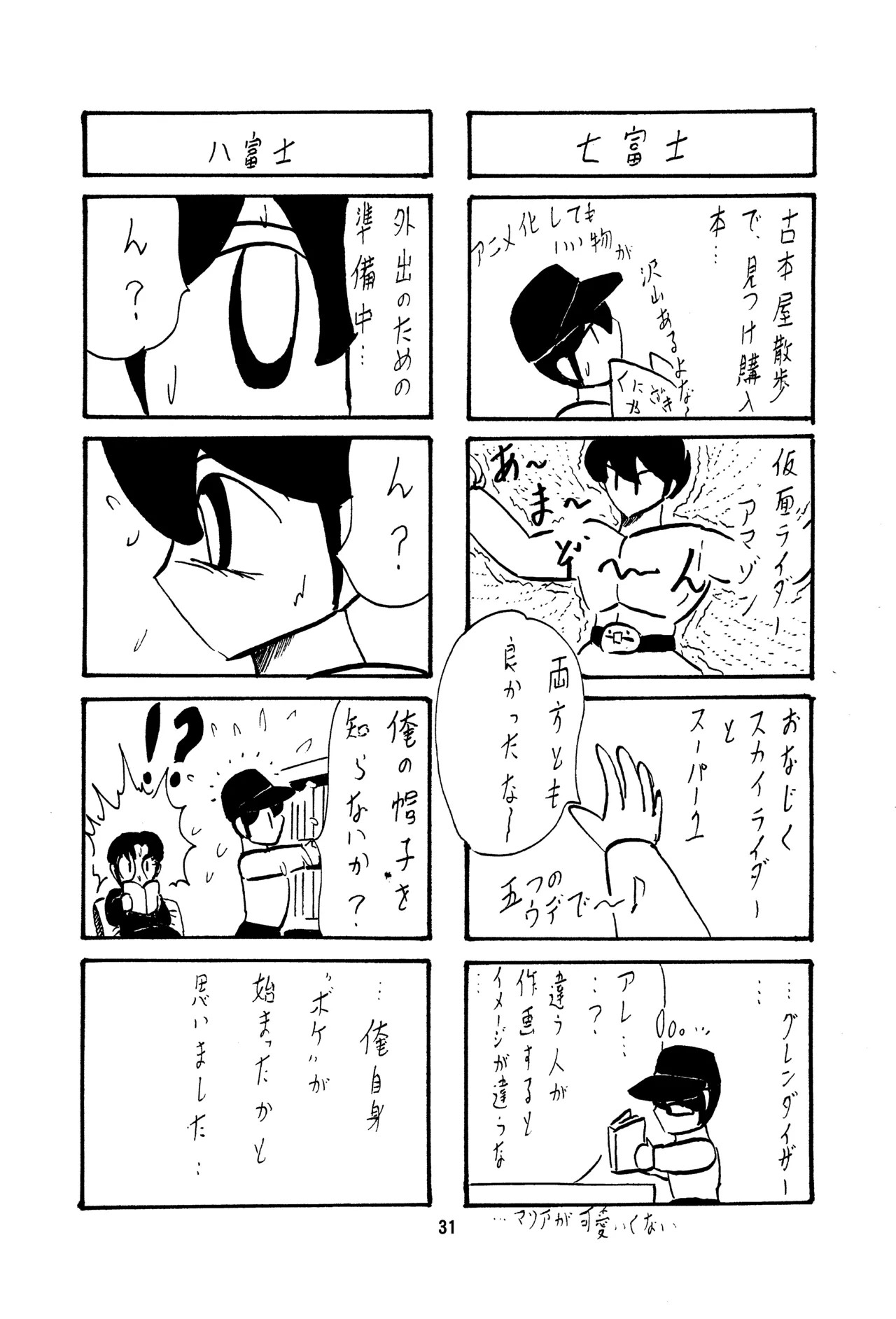 Page 31