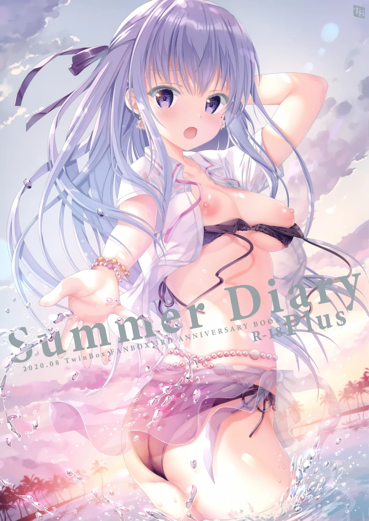 (秋葉原超同人祭) Summer Diary plus