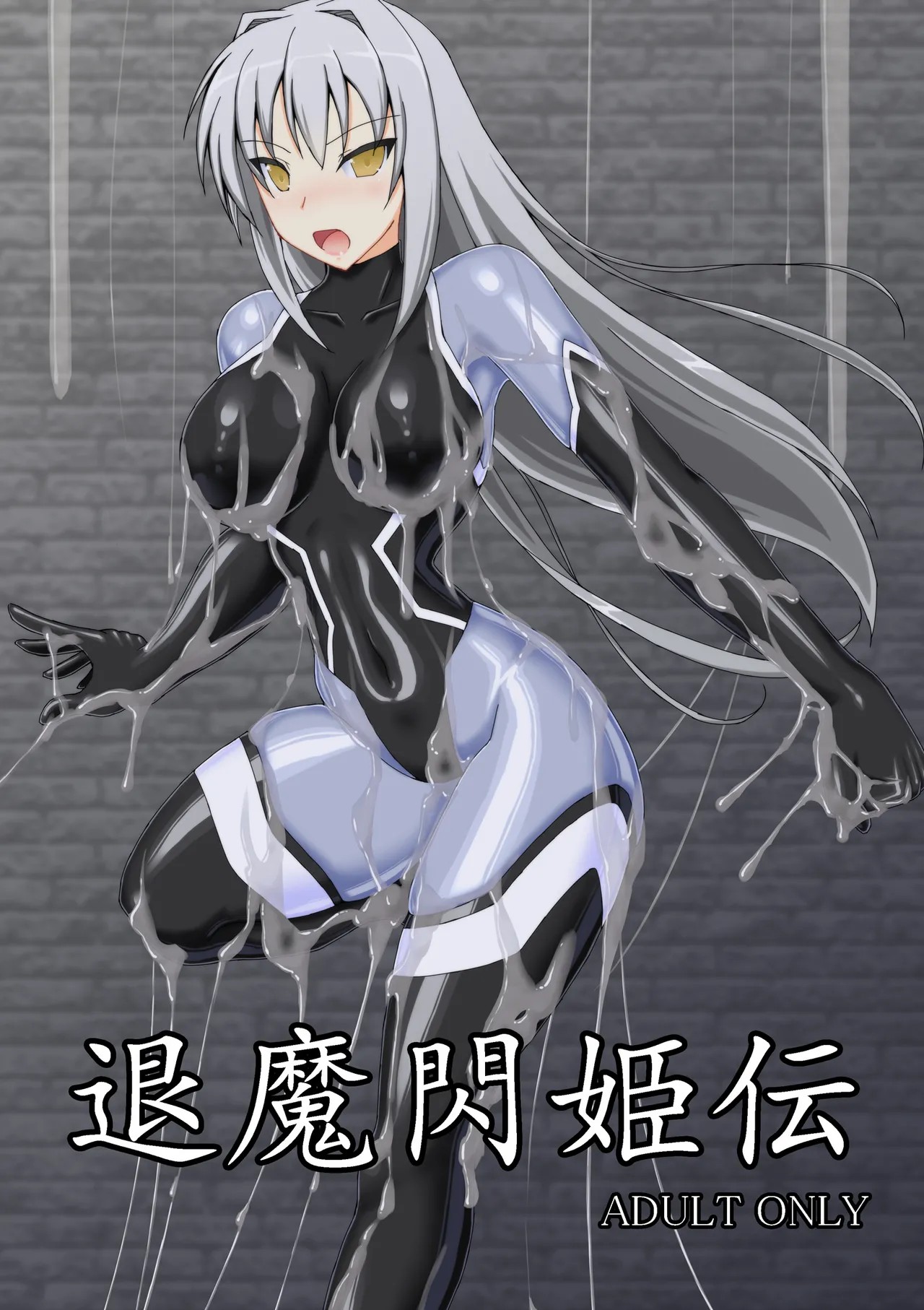 退魔閃姫伝