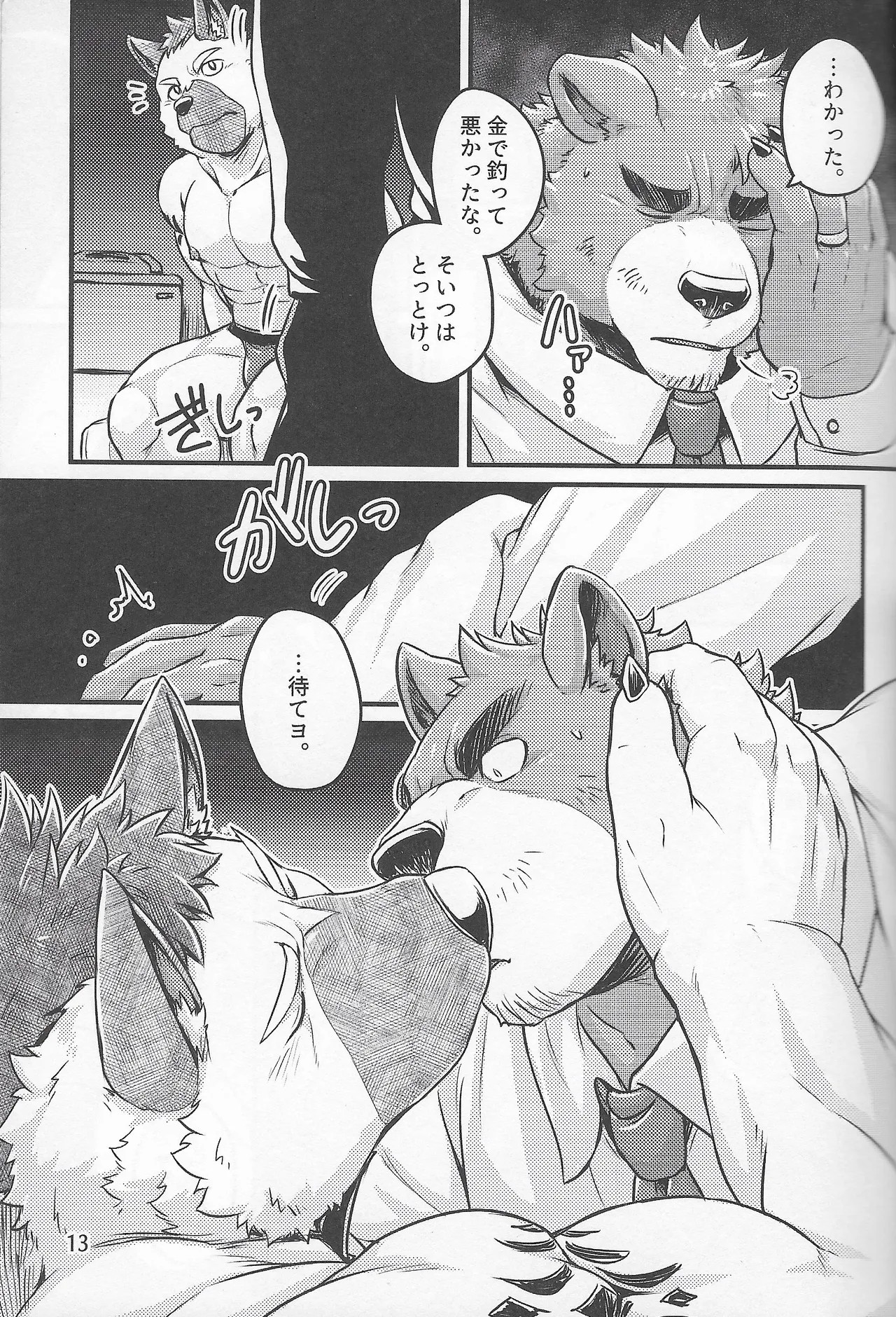 Page 13
