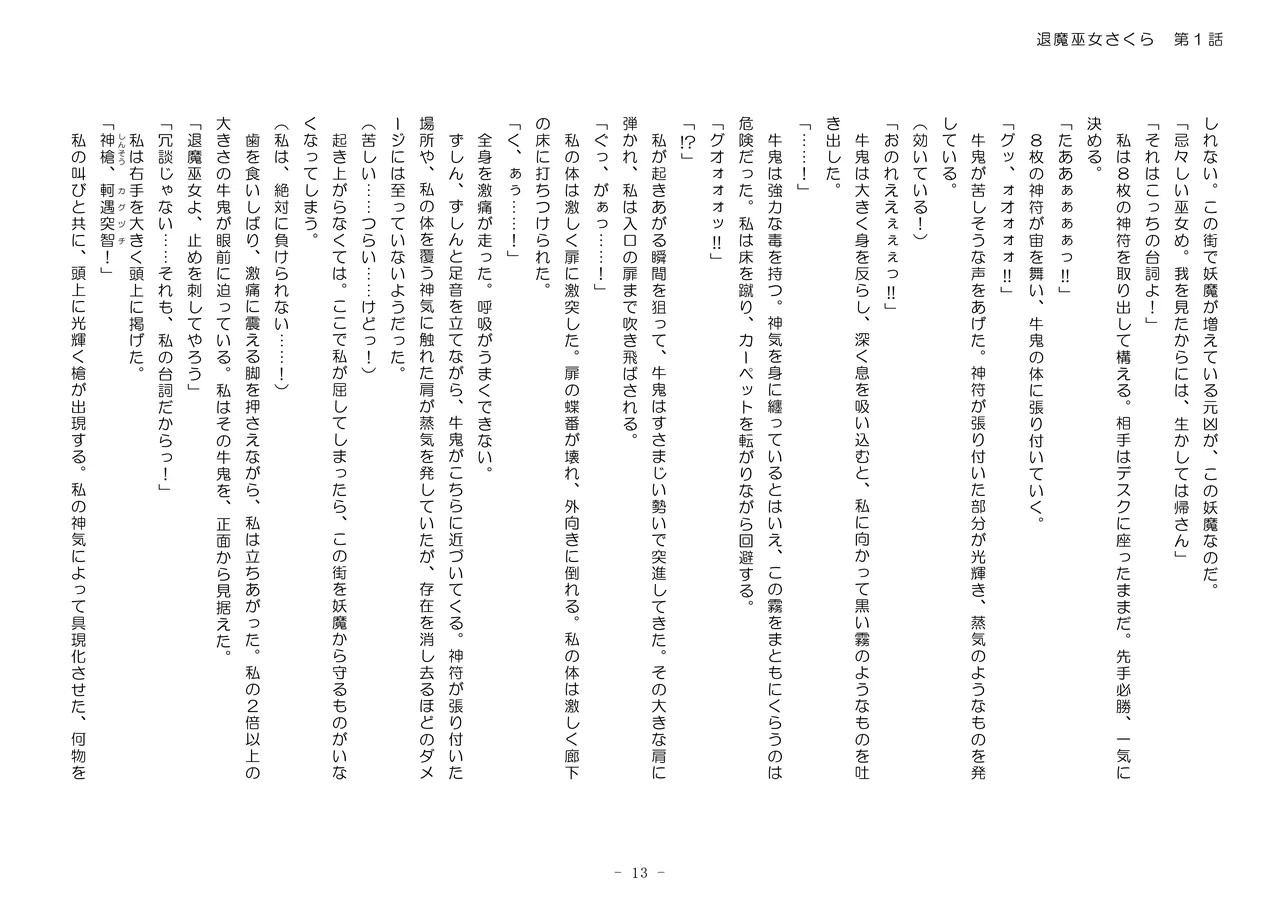 Page 13