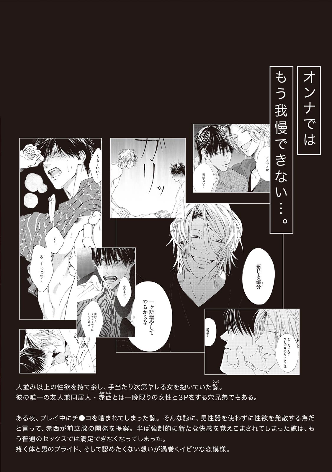 Page 213