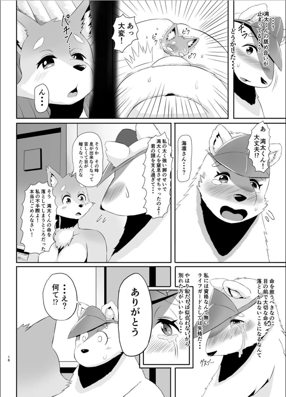 Page 16