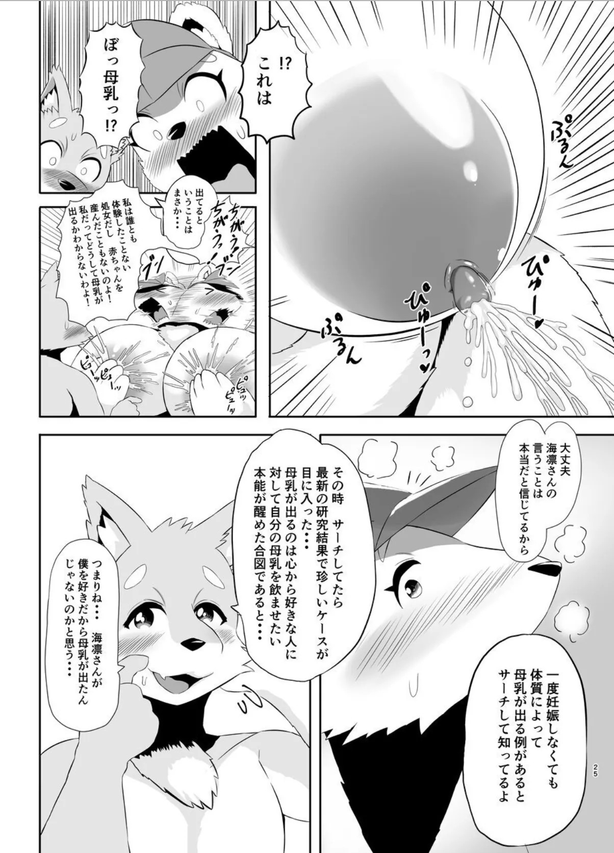 Page 25
