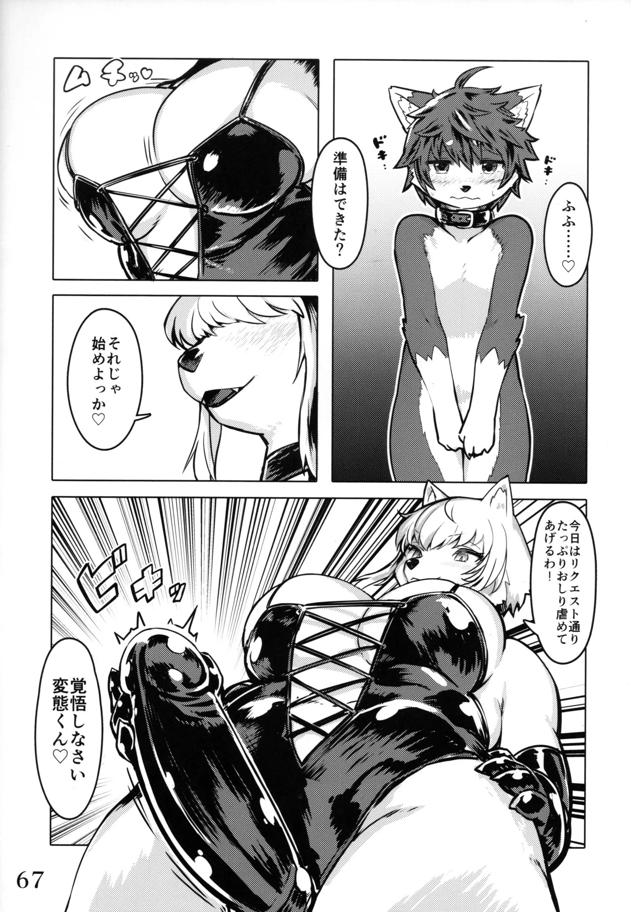 Page 67