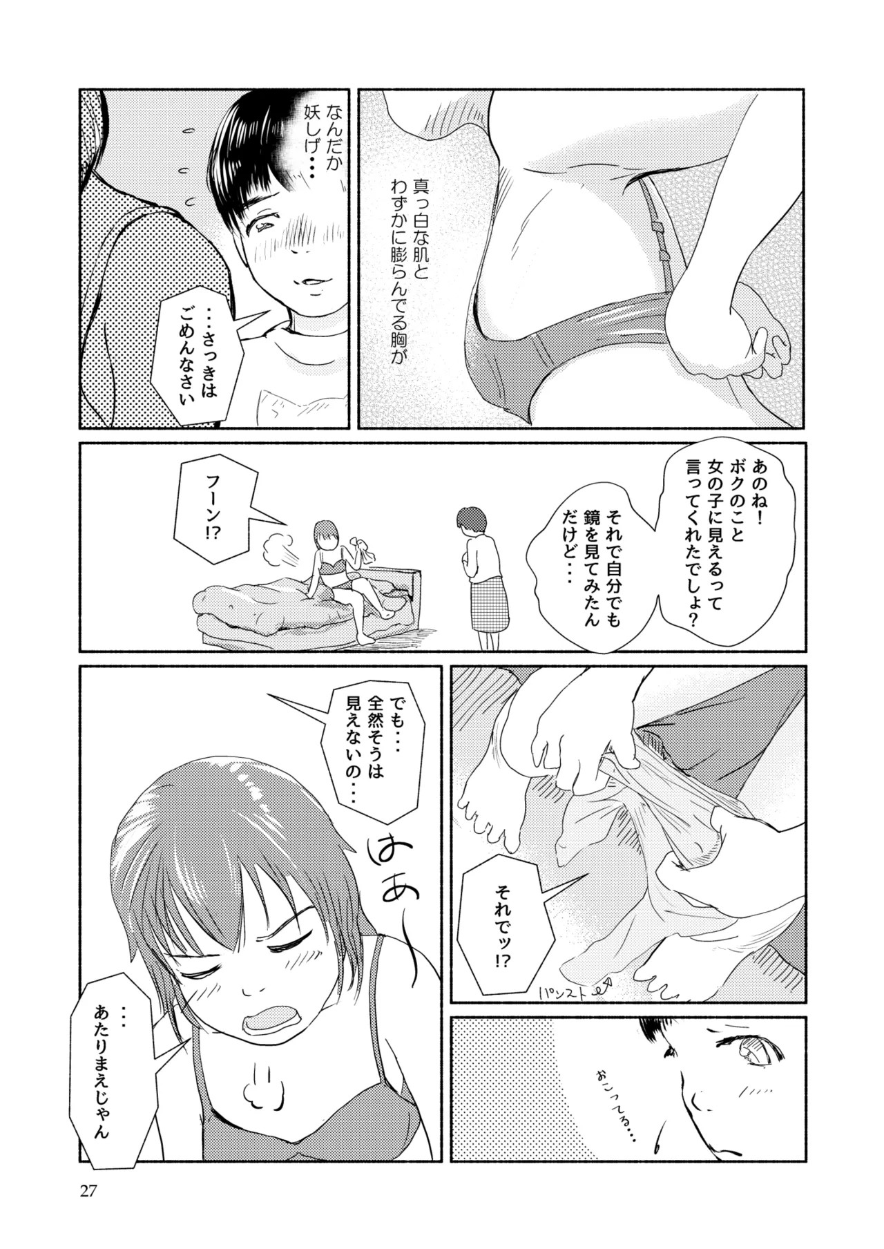 Page 27