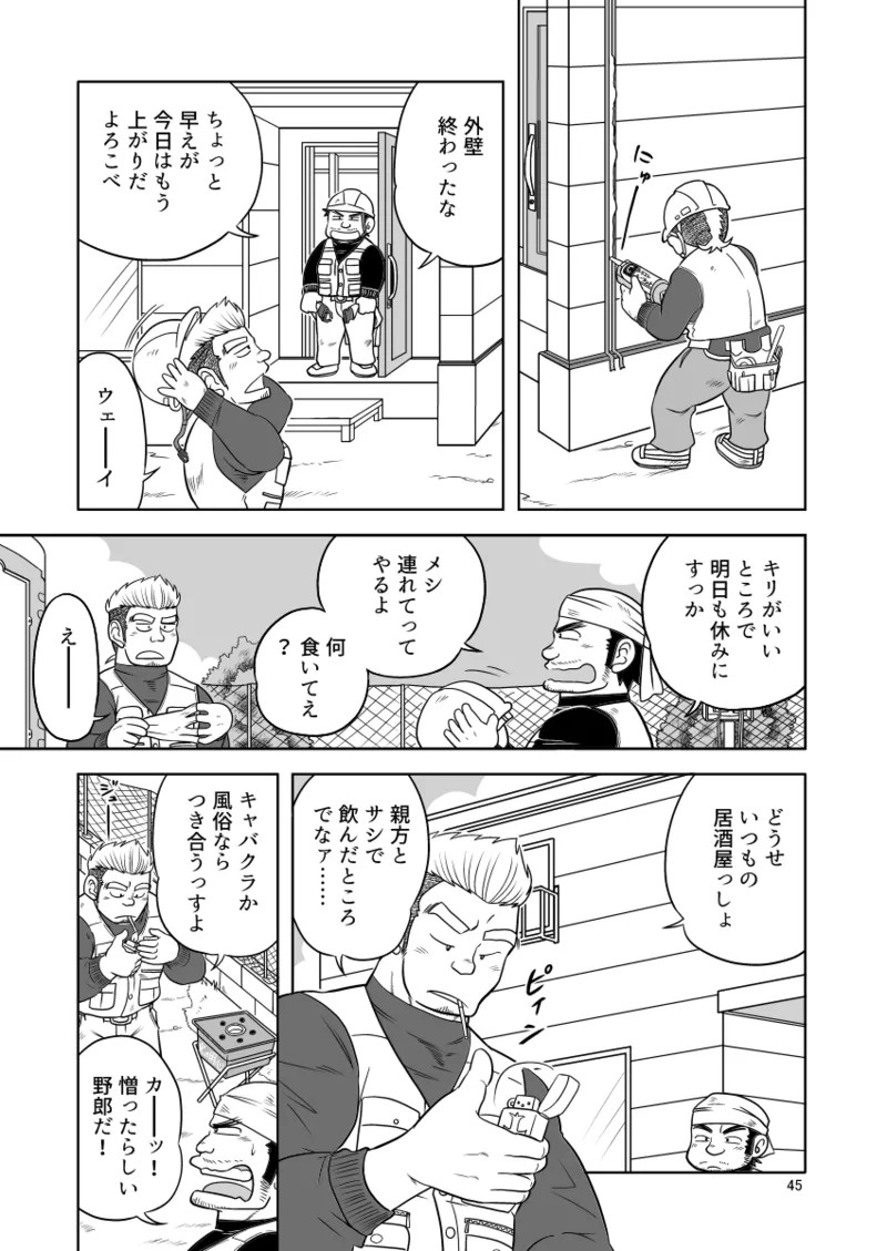 Page 45