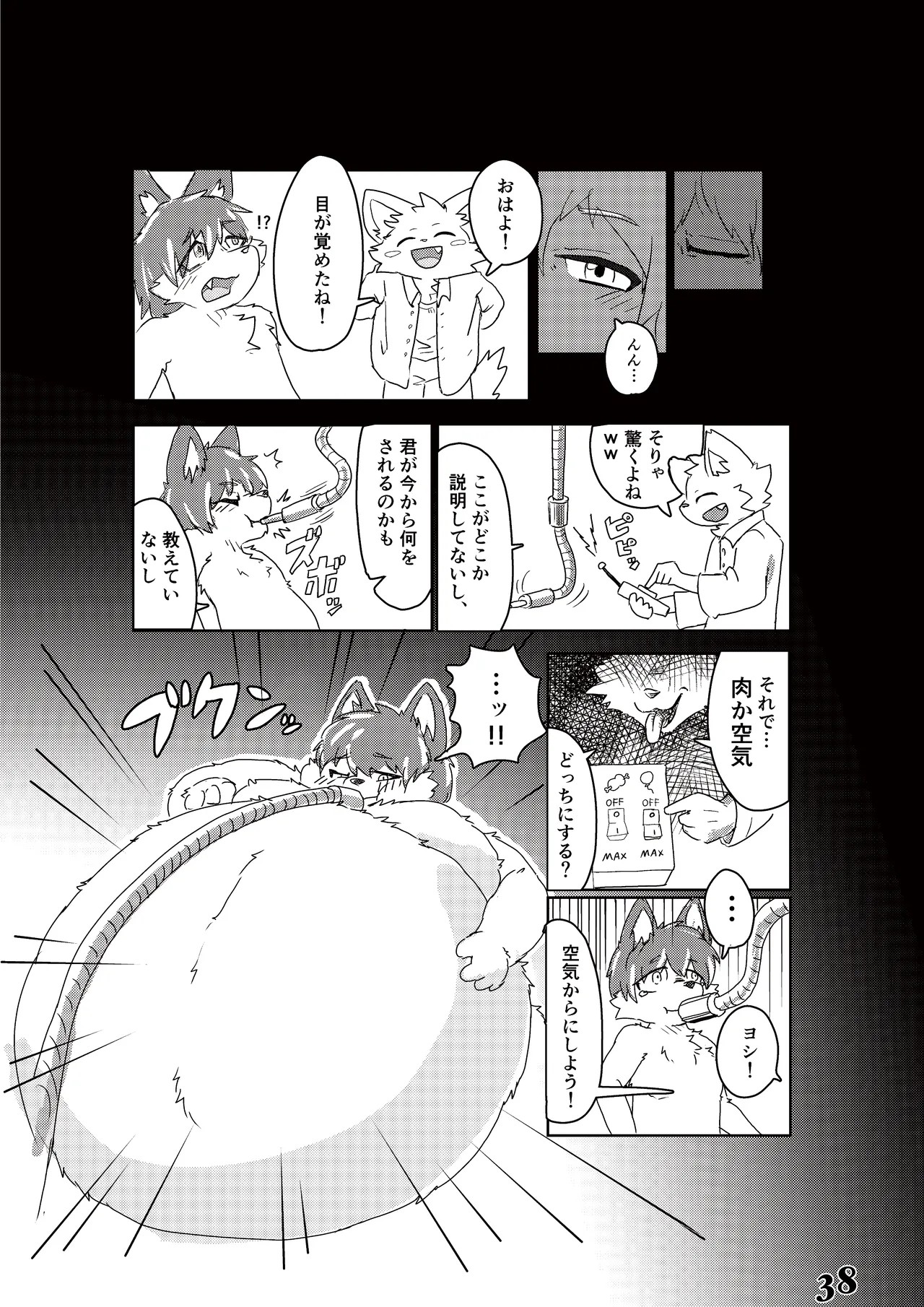 Page 38