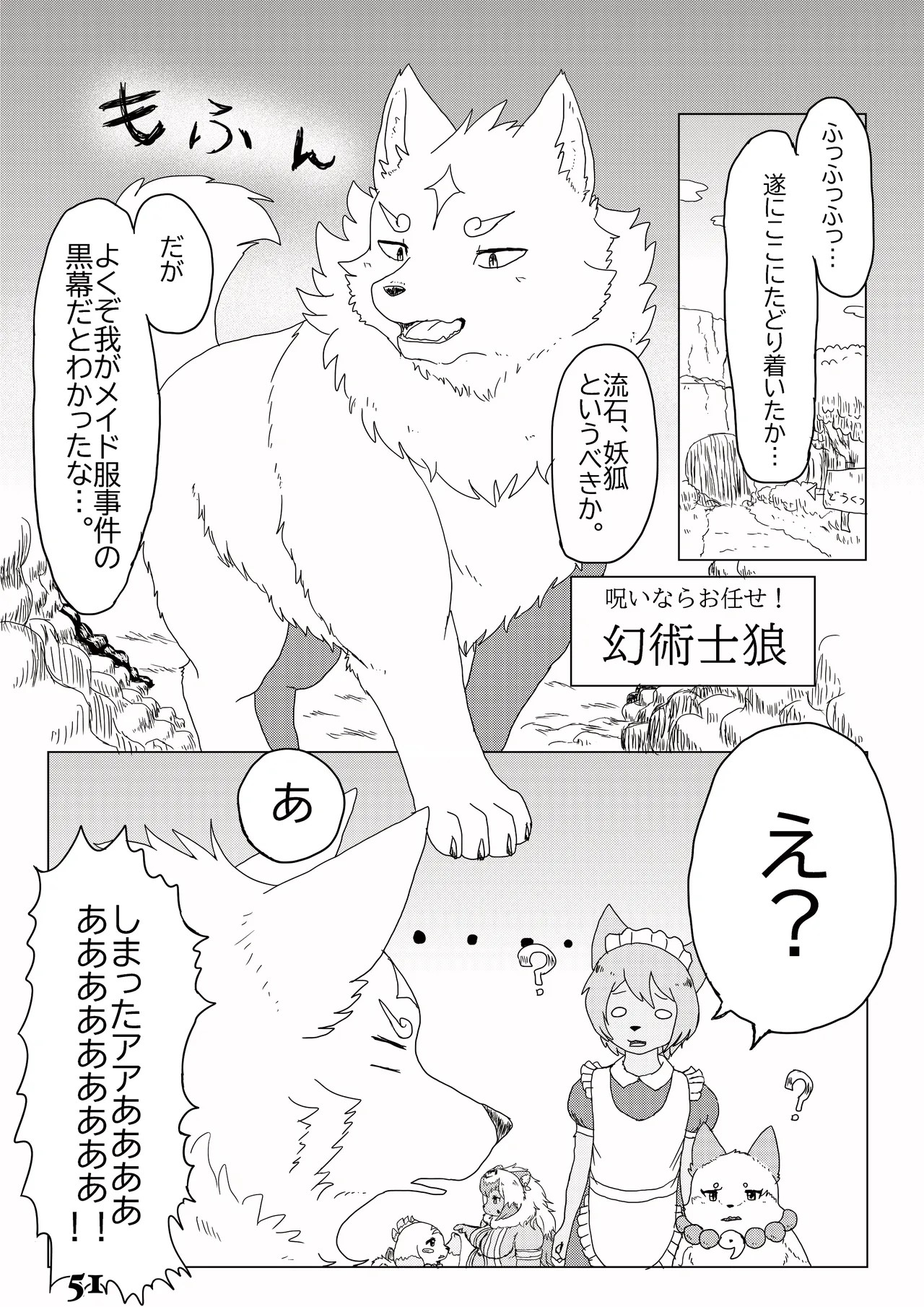 Page 51