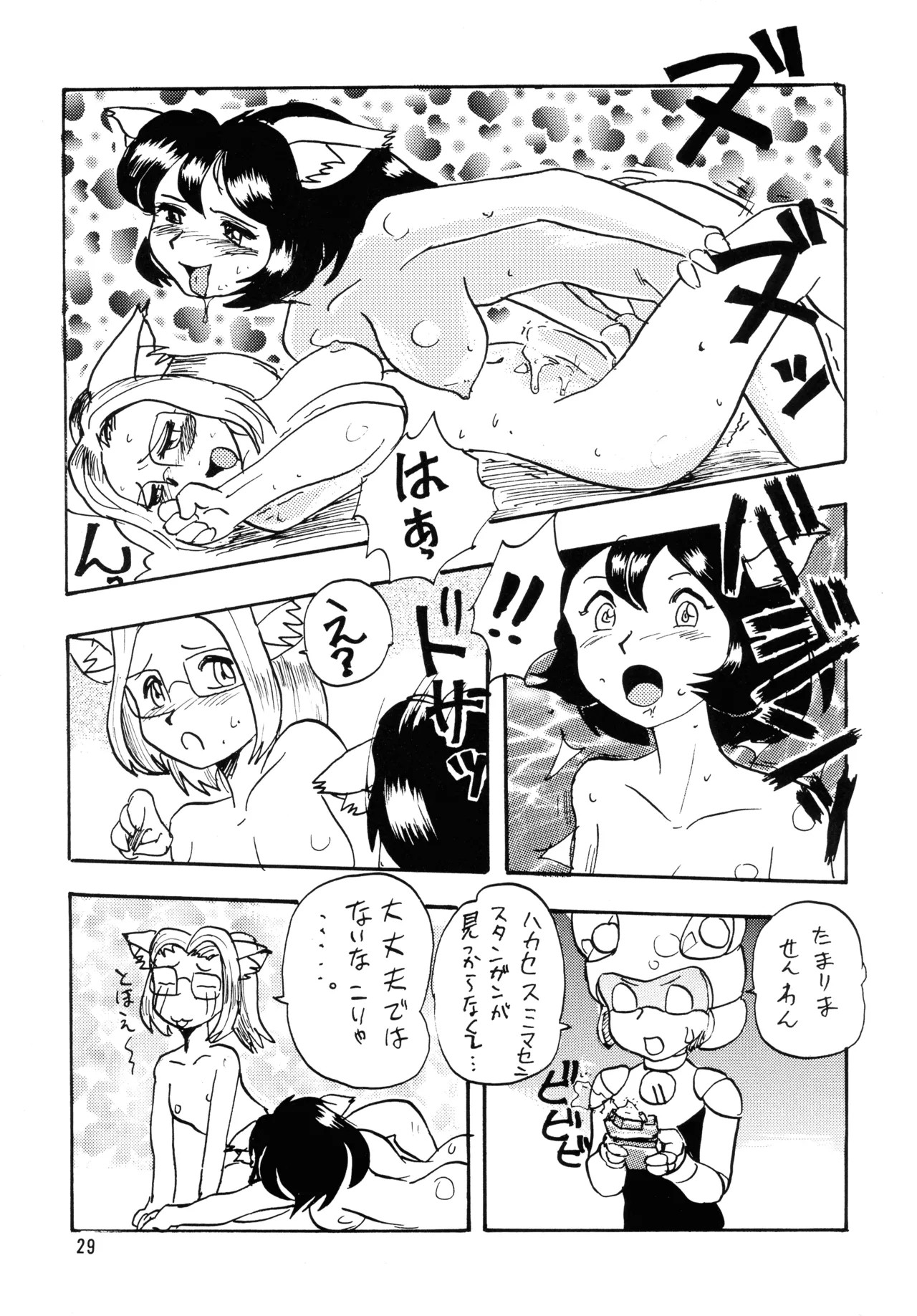 Page 29