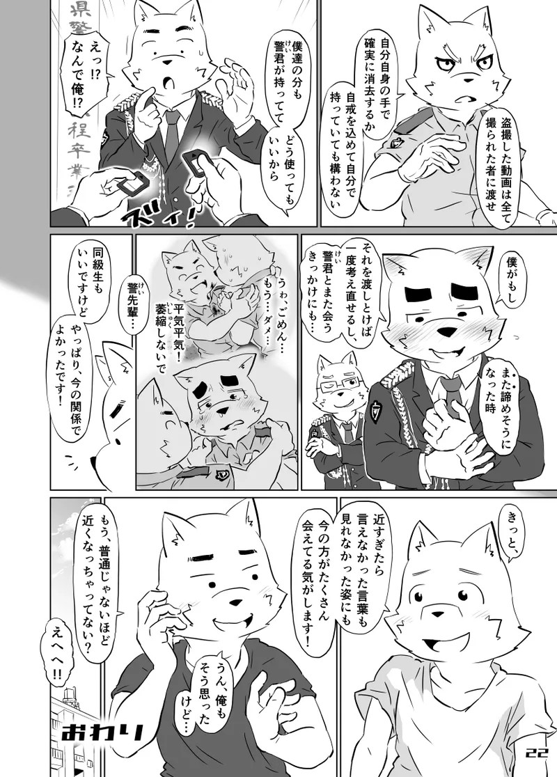 Page 22