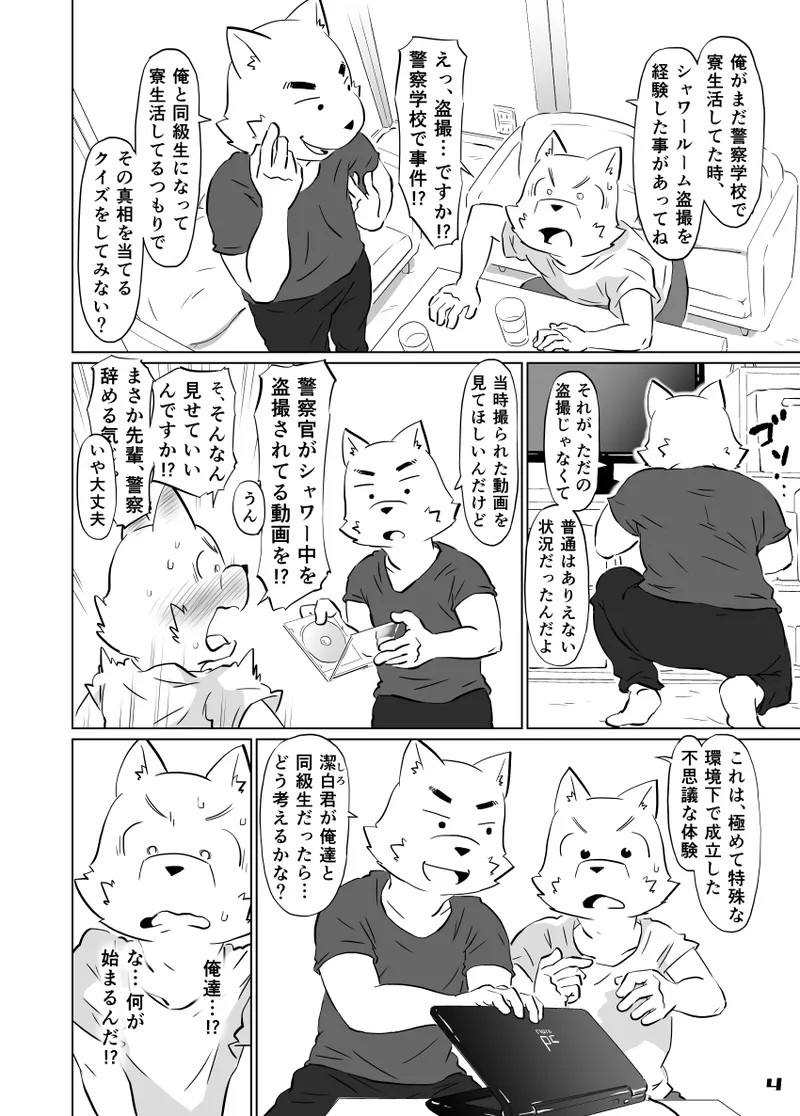 Page 4