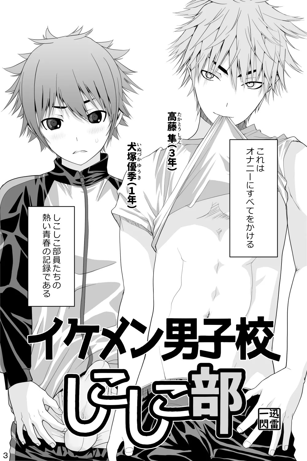 Page 3