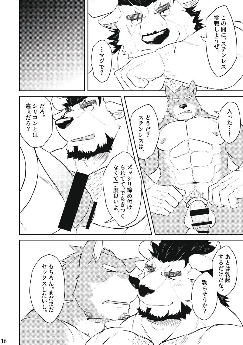Page 15