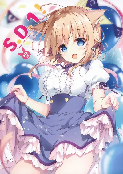 (C95) S.D.1!