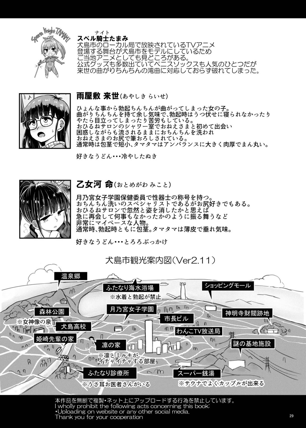 Page 29