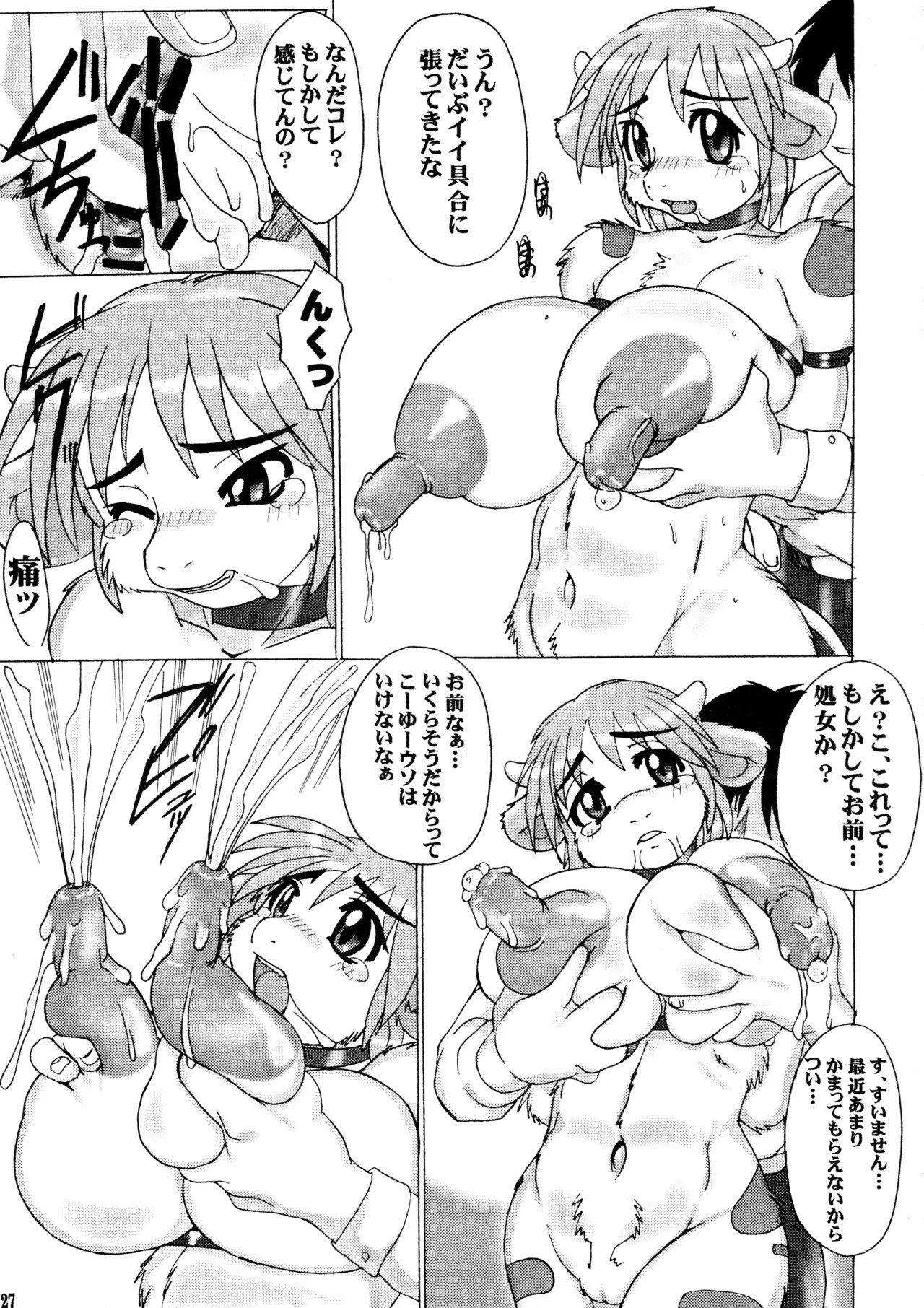 Page 27