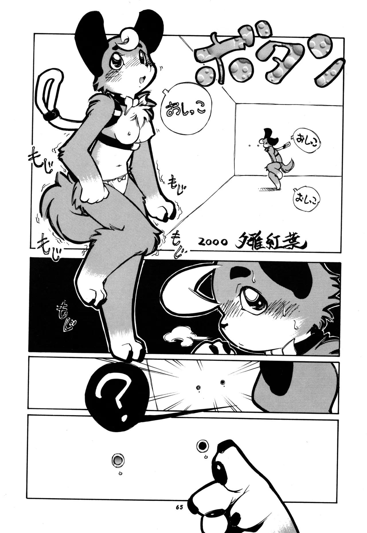 Page 64