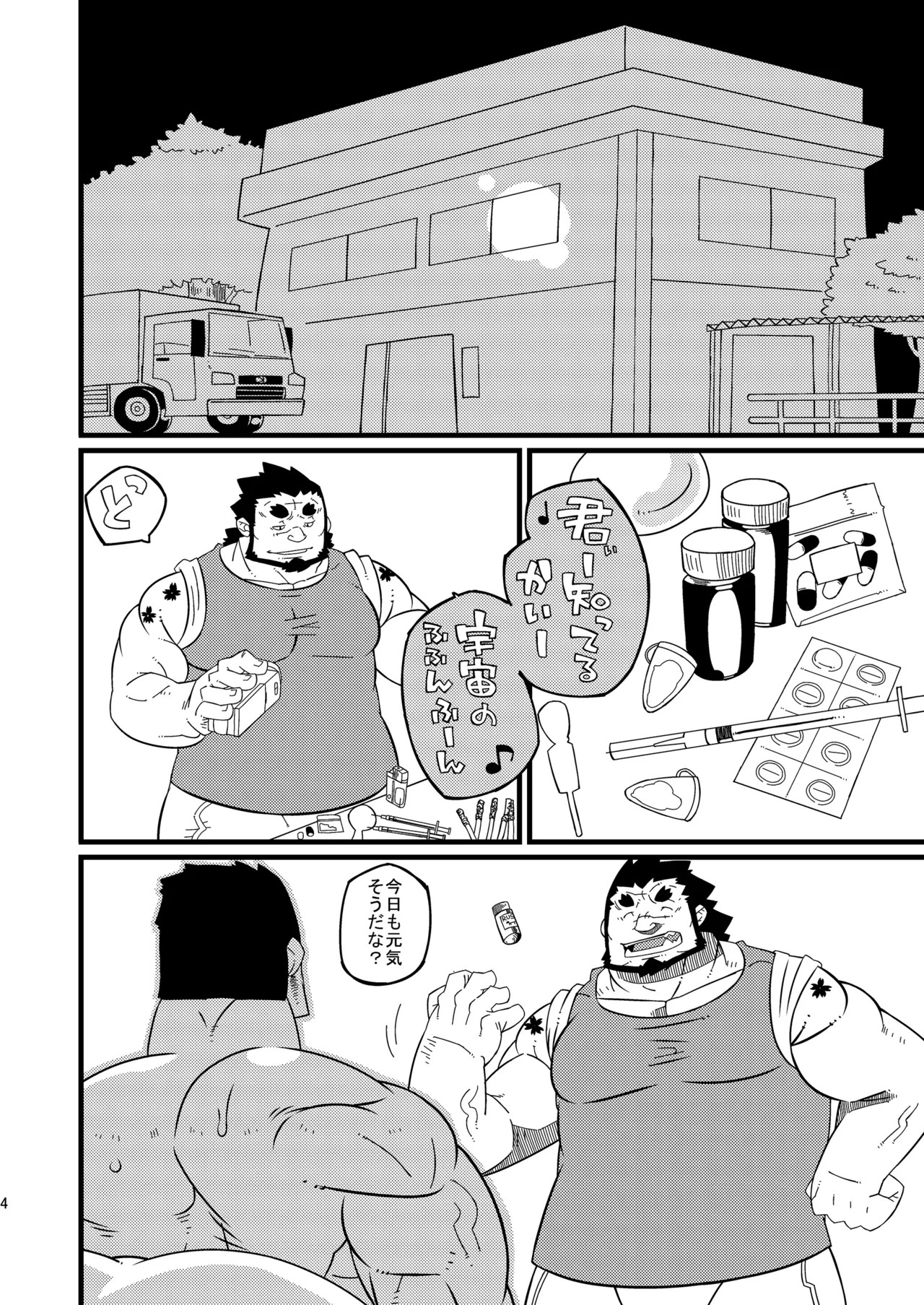 Page 3