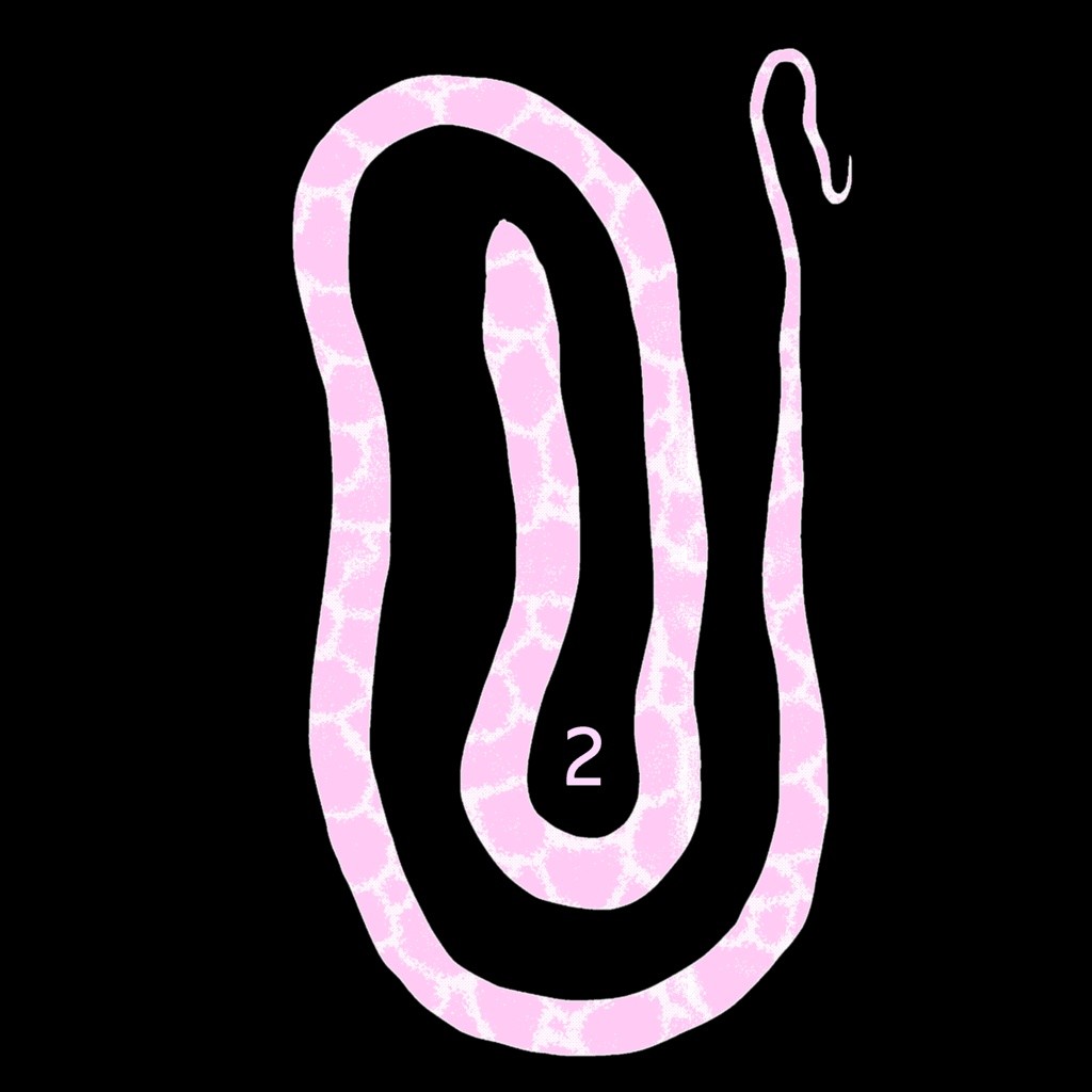 Sea snake