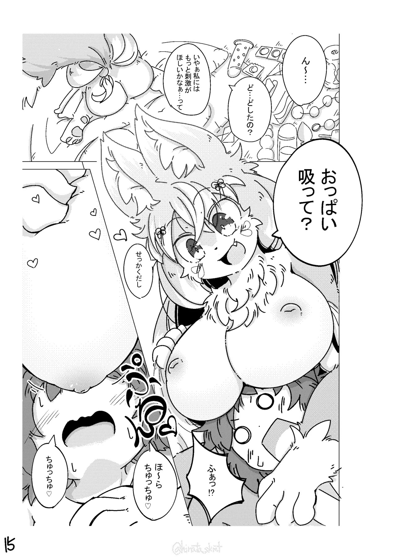Page 15