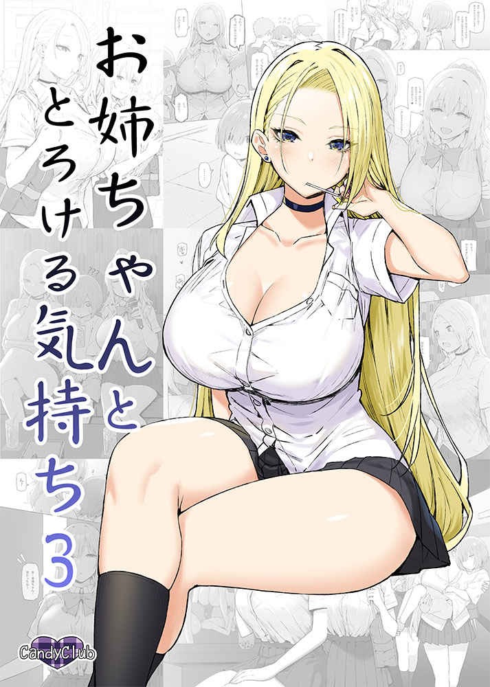 (C99) お姉ちゃんととろける気持ち3