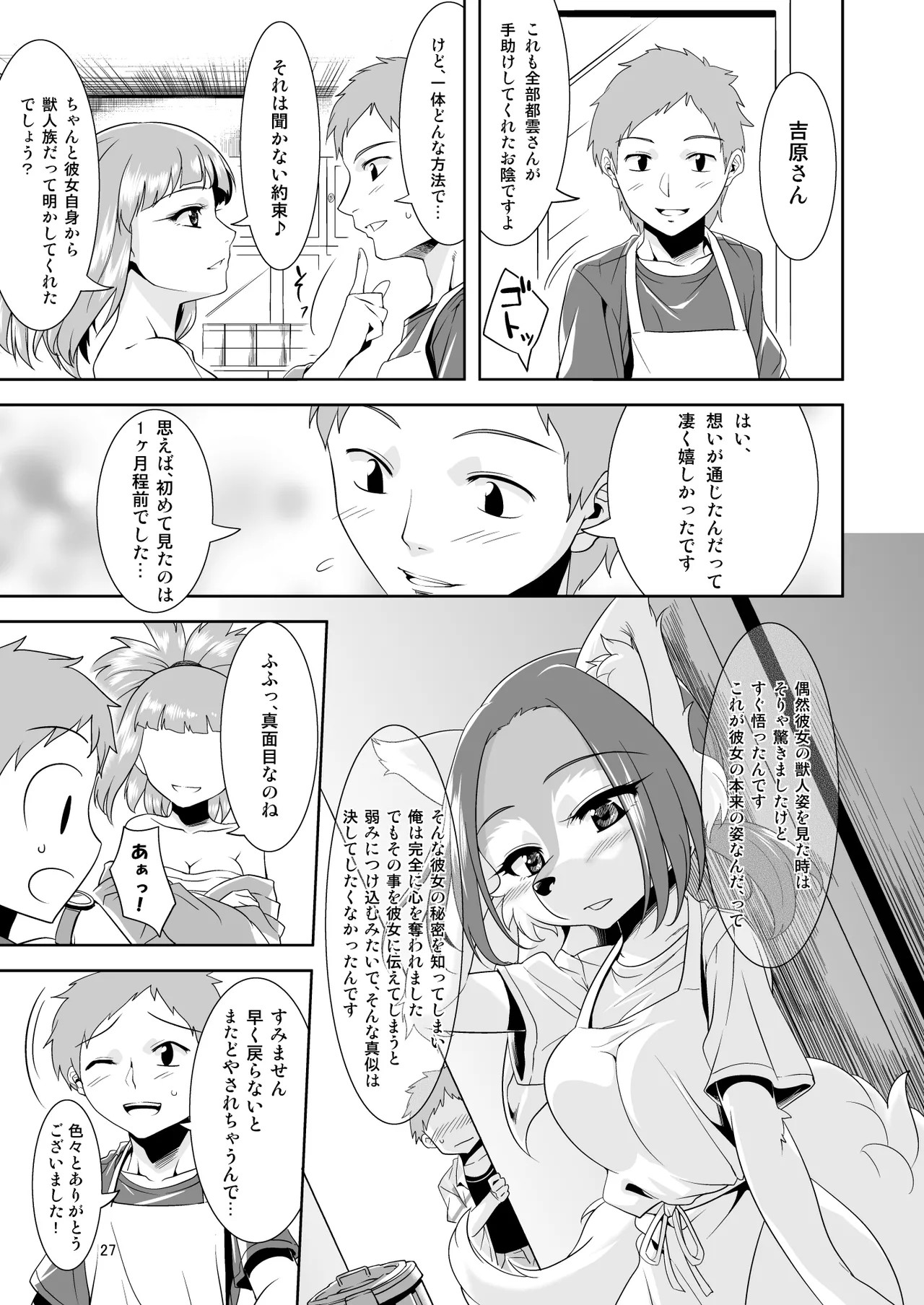 Page 27