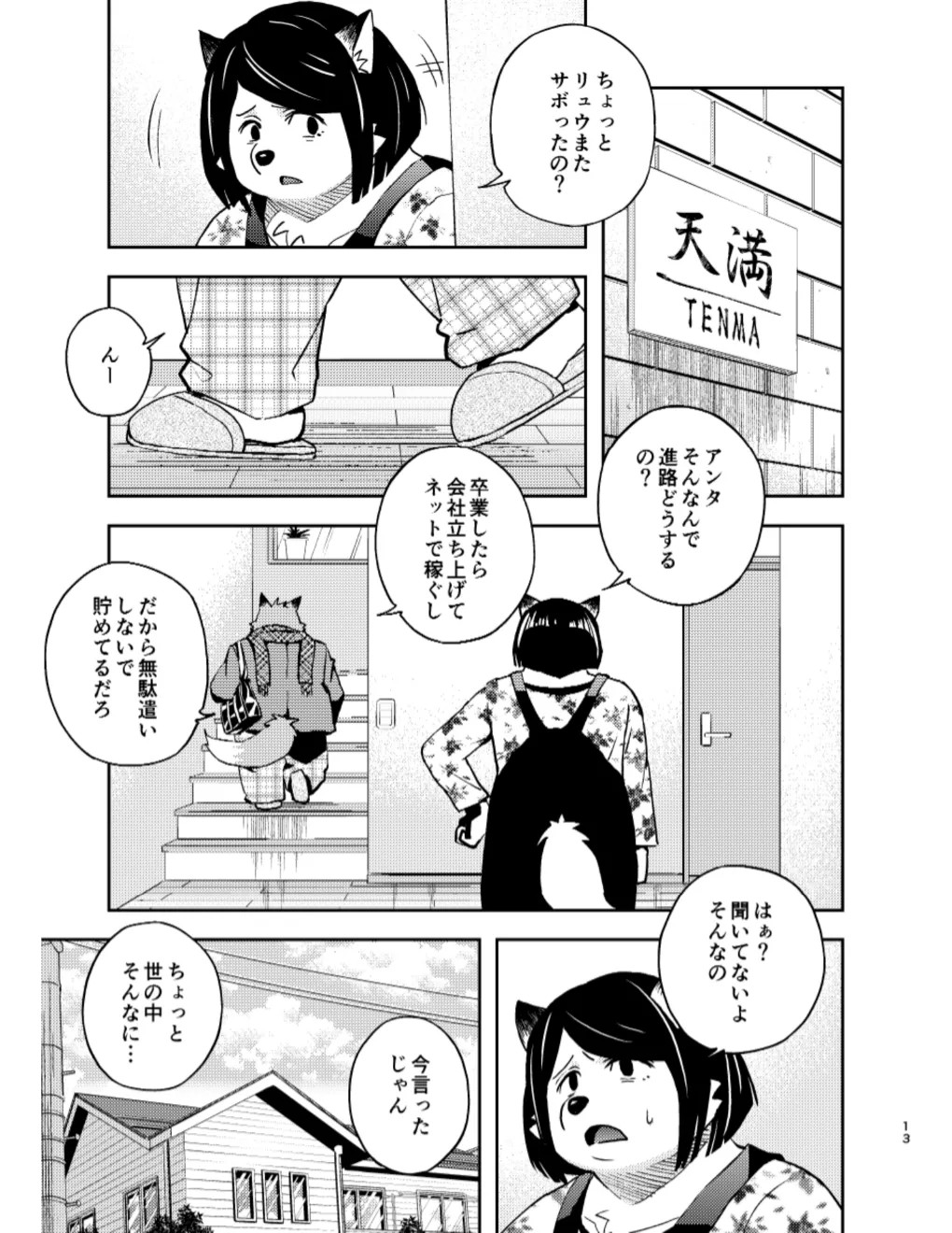 Page 13