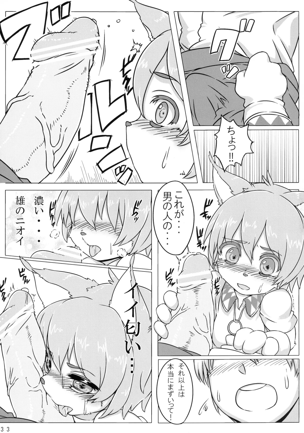 Page 33