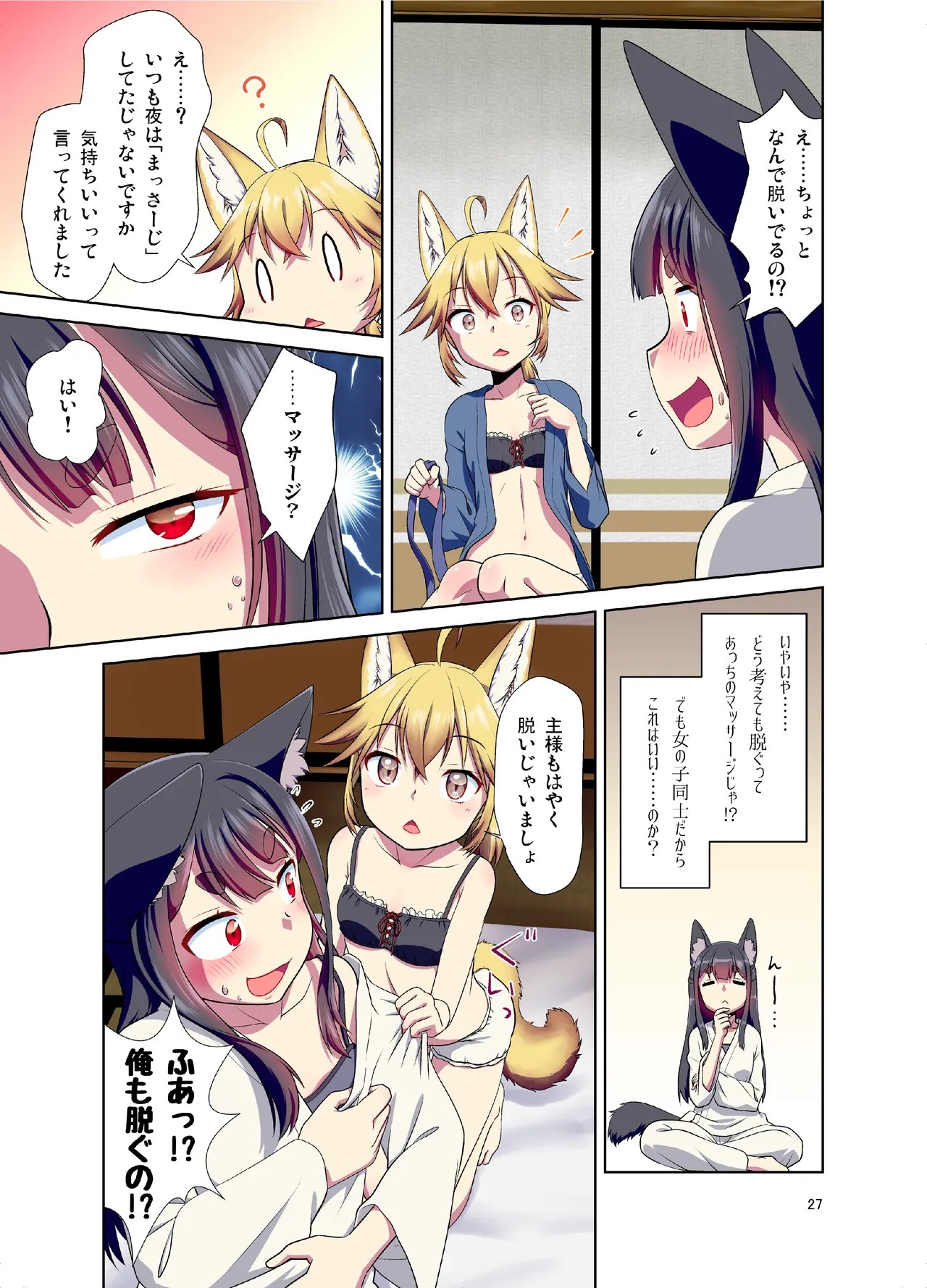 Page 27