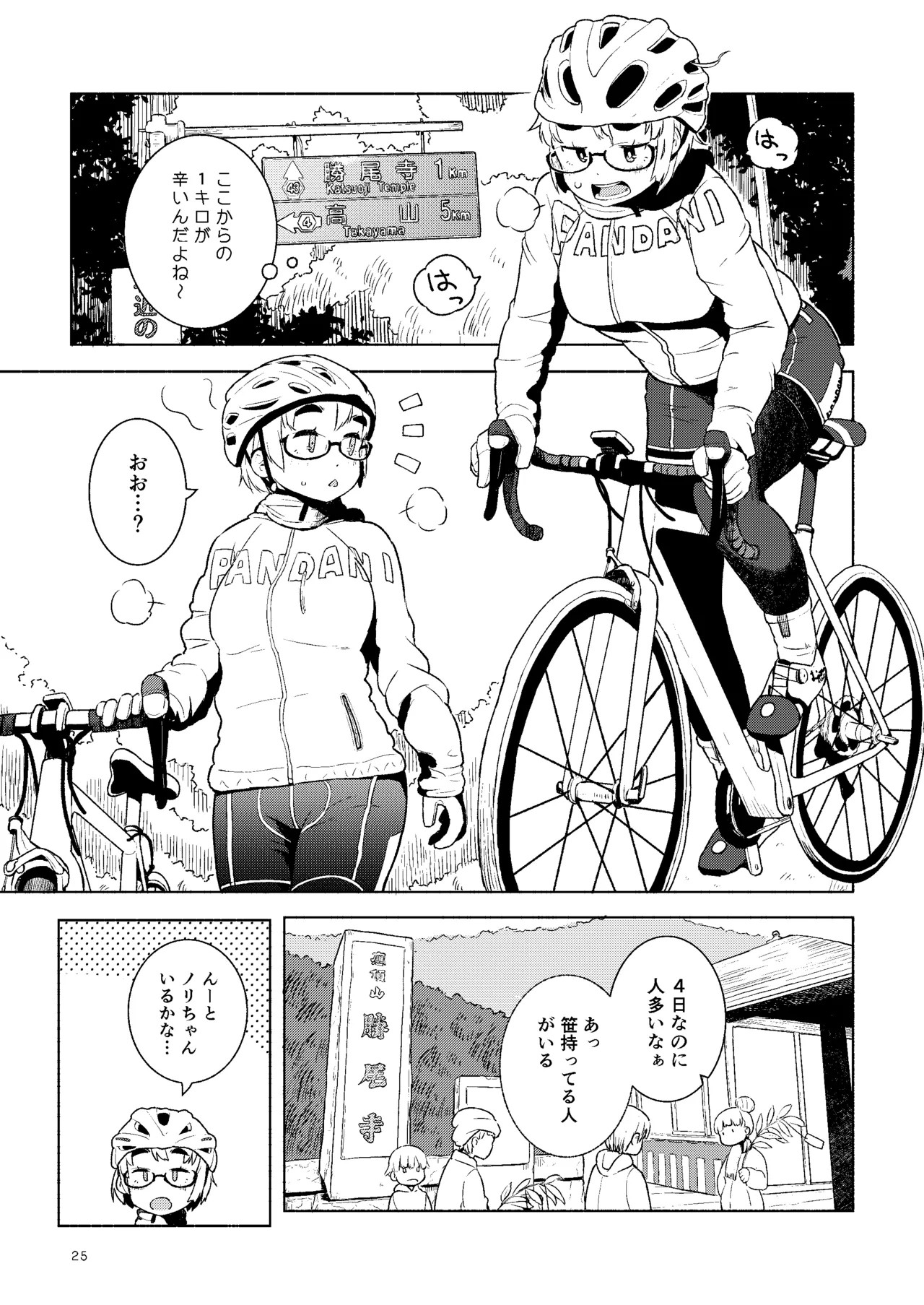 Page 25