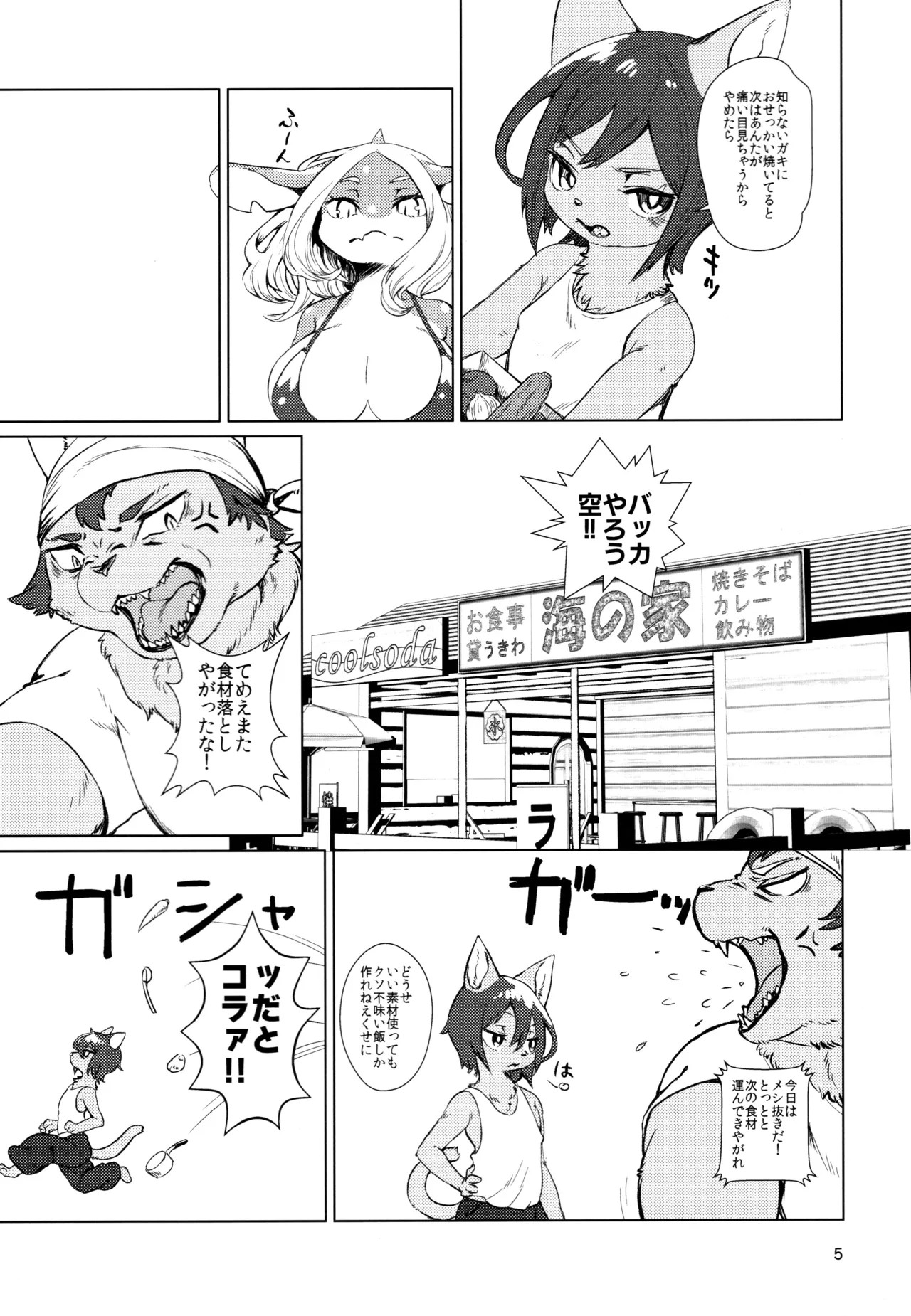 Page 5