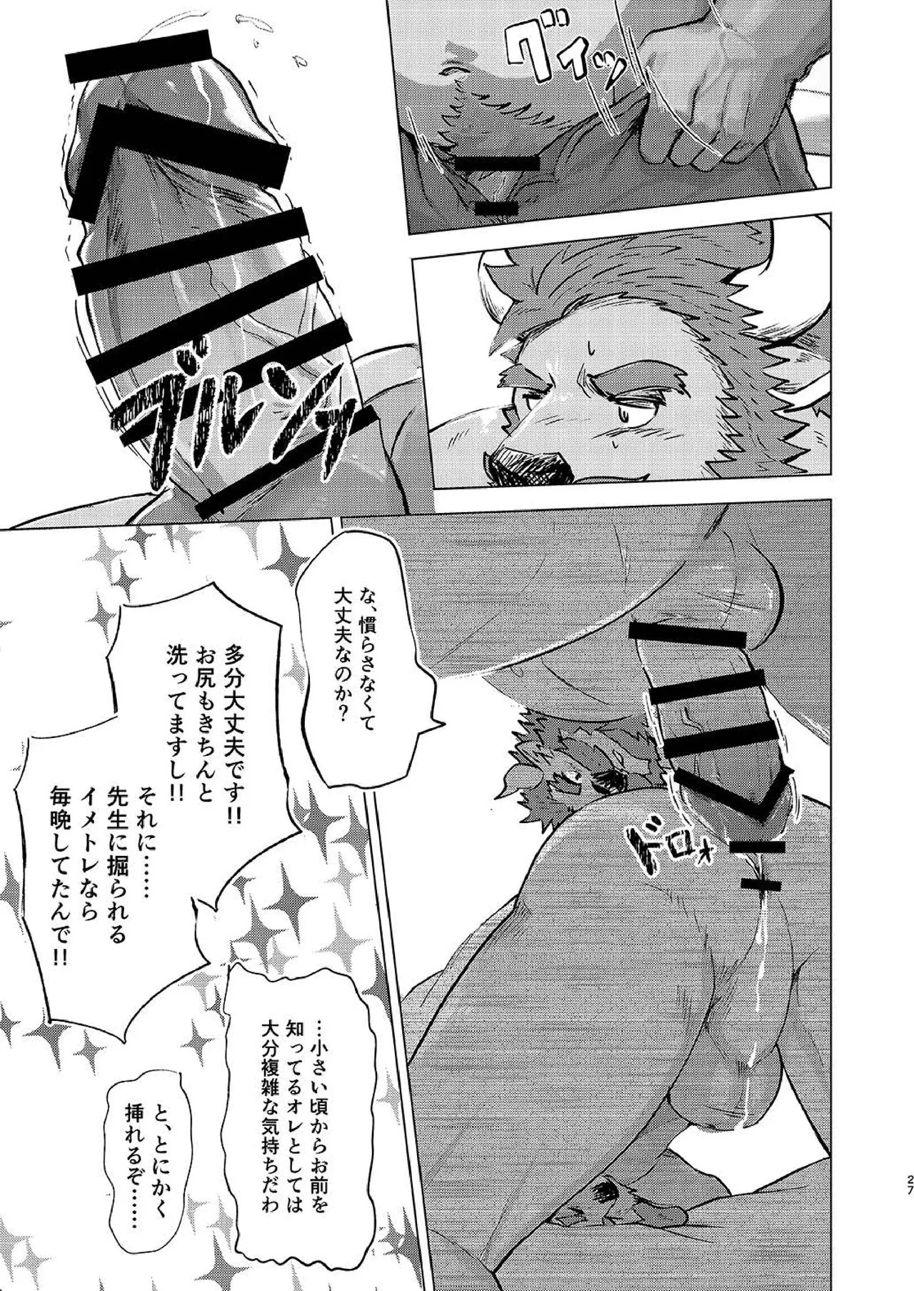 Page 27