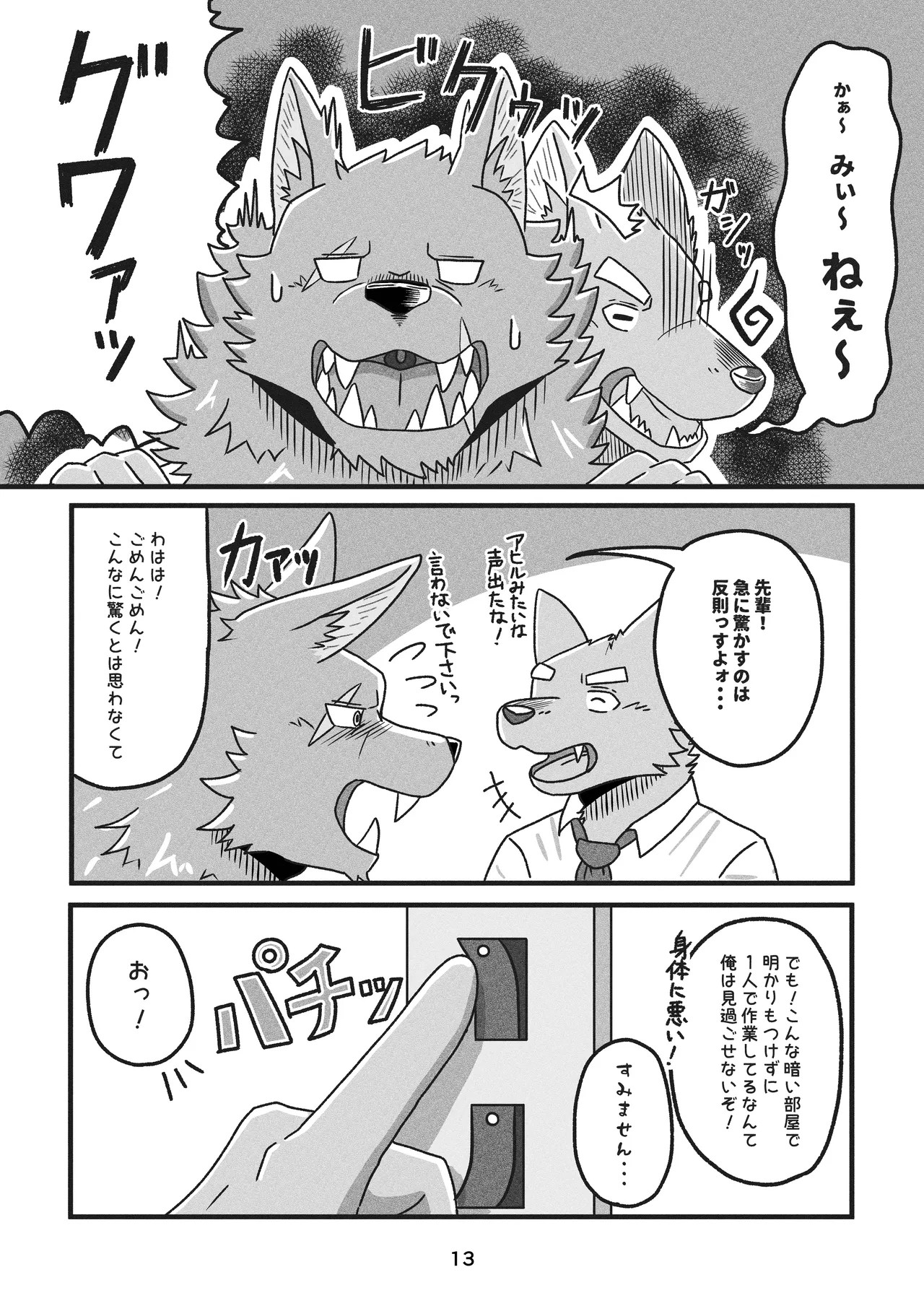 Page 13