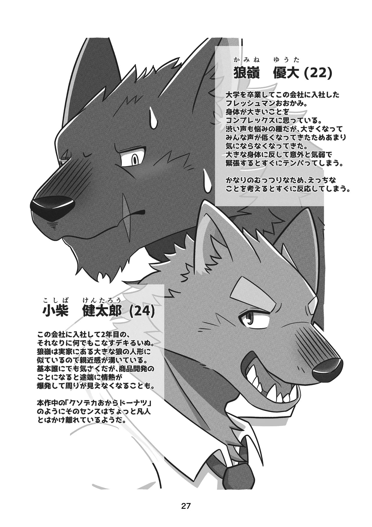 Page 27