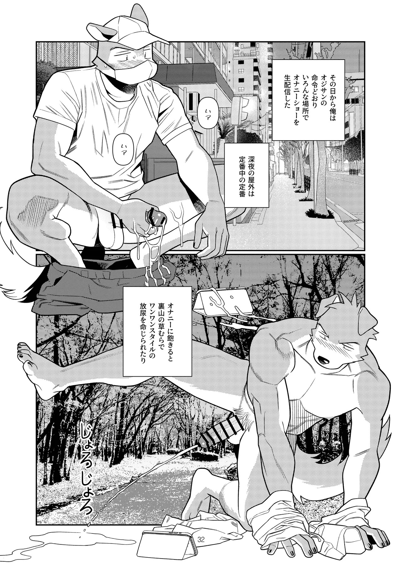 Page 31