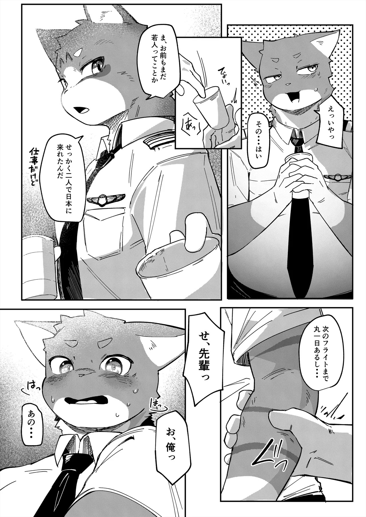 Page 41