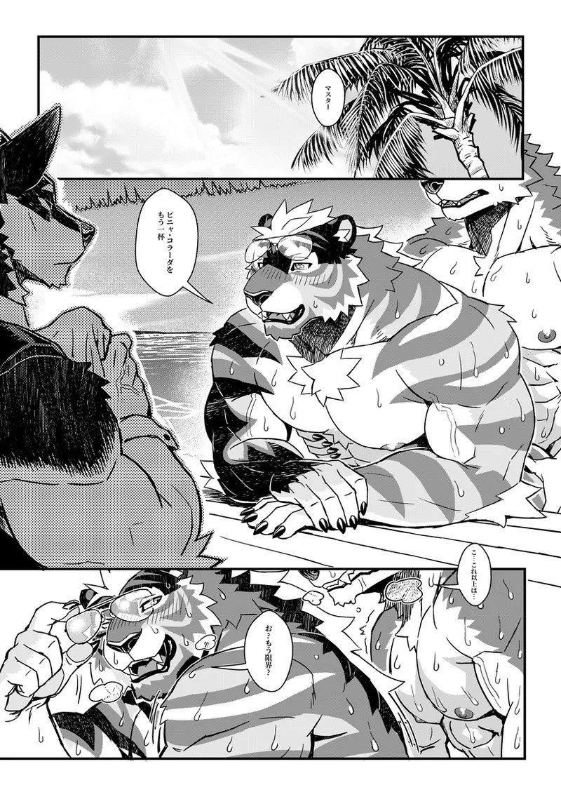 Page 37