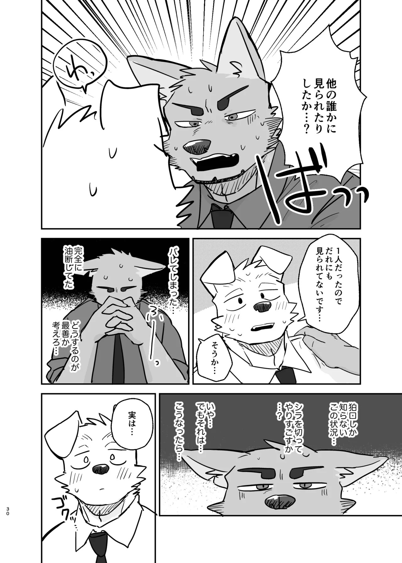 Page 30