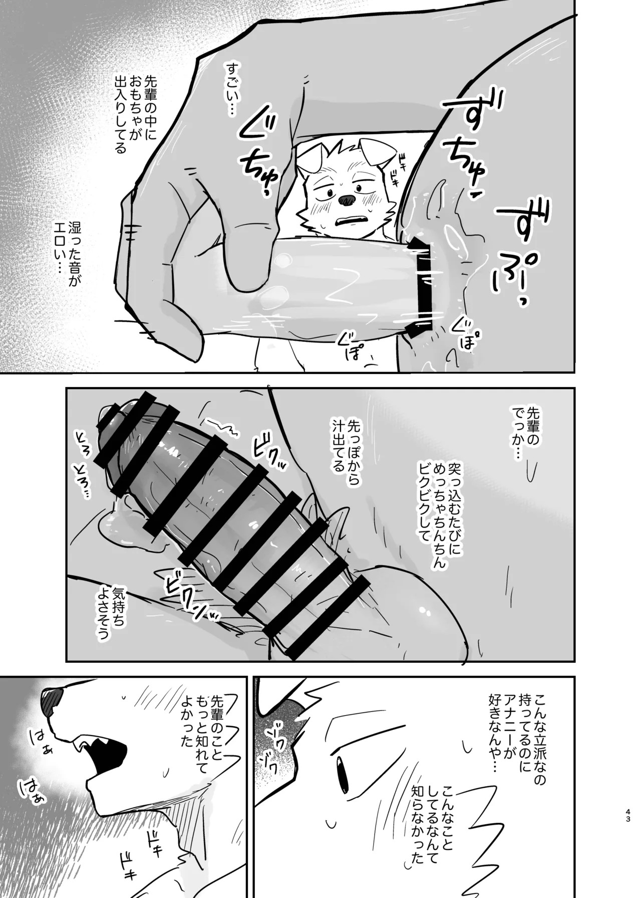 Page 43