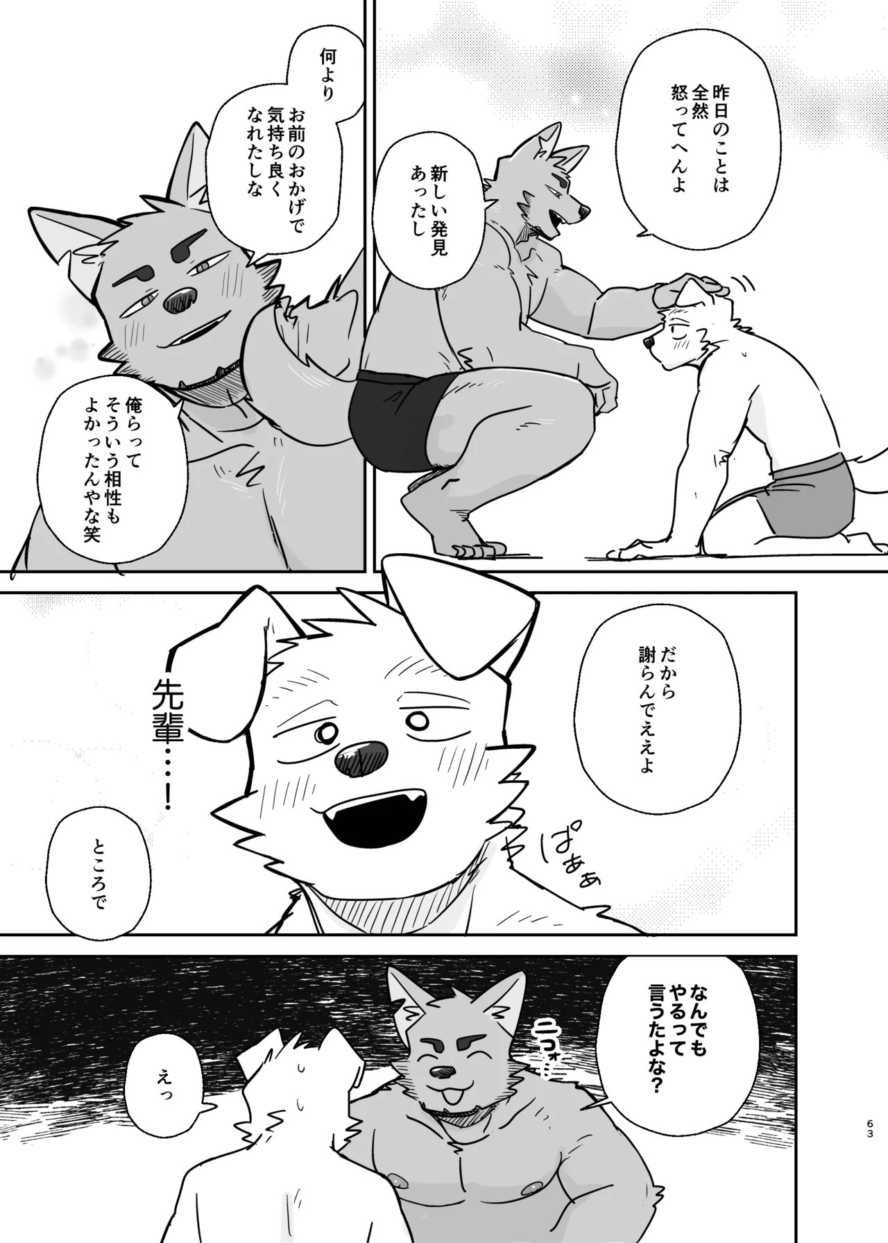 Page 63