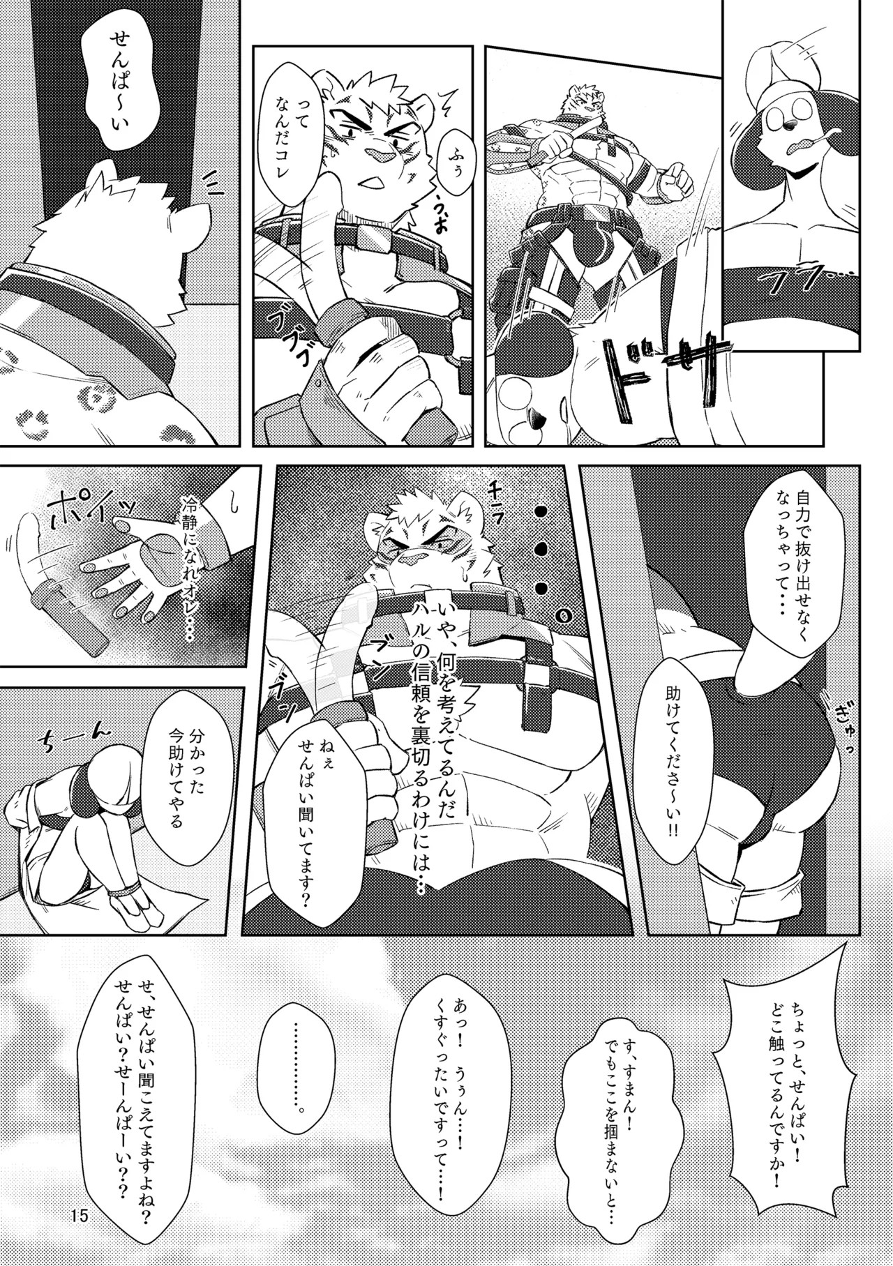Page 15