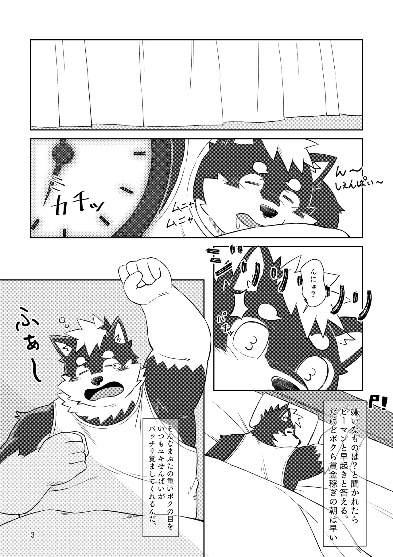 Page 3
