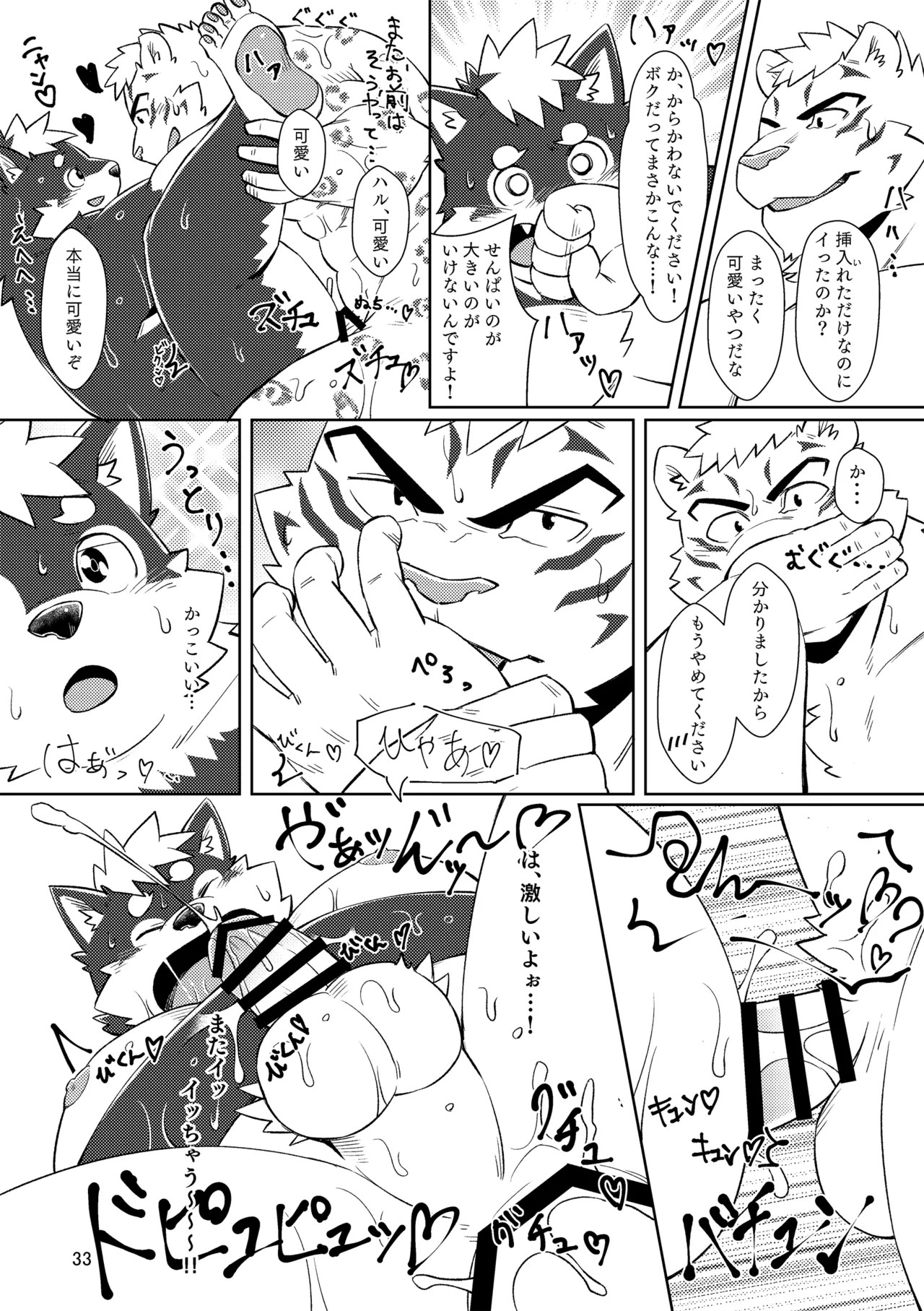 Page 33